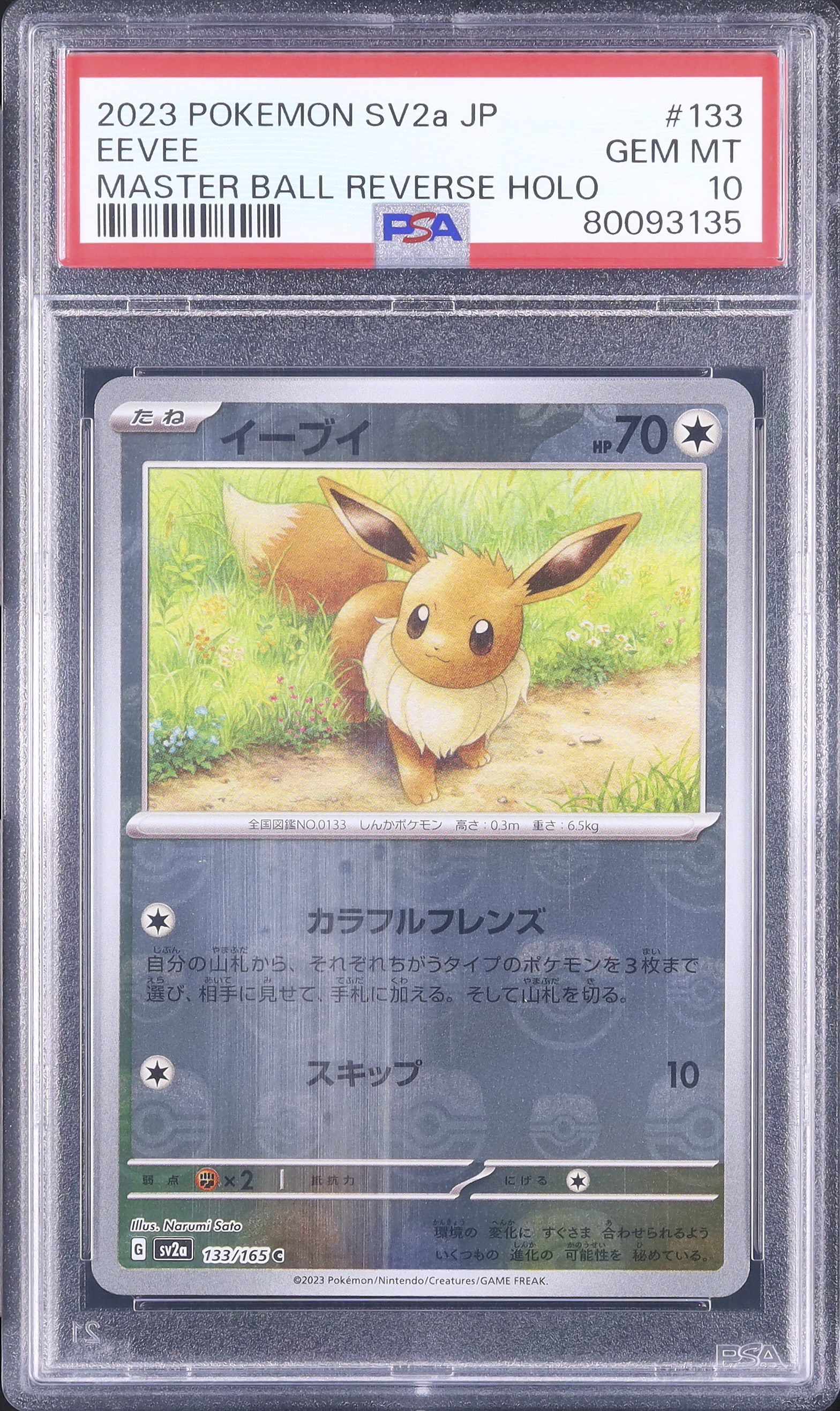 2023 イーブイ PSA 10 マスターボール - カルドバ