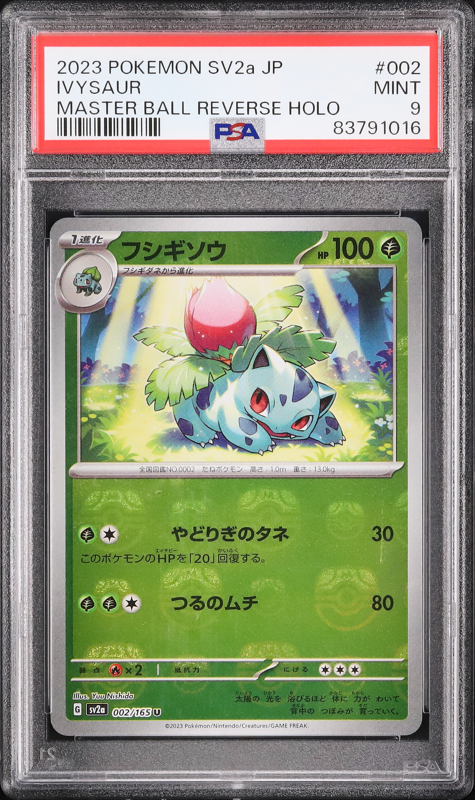 2023 フシギソウ PSA 9 マスターボールリバースホロ - カルドバ