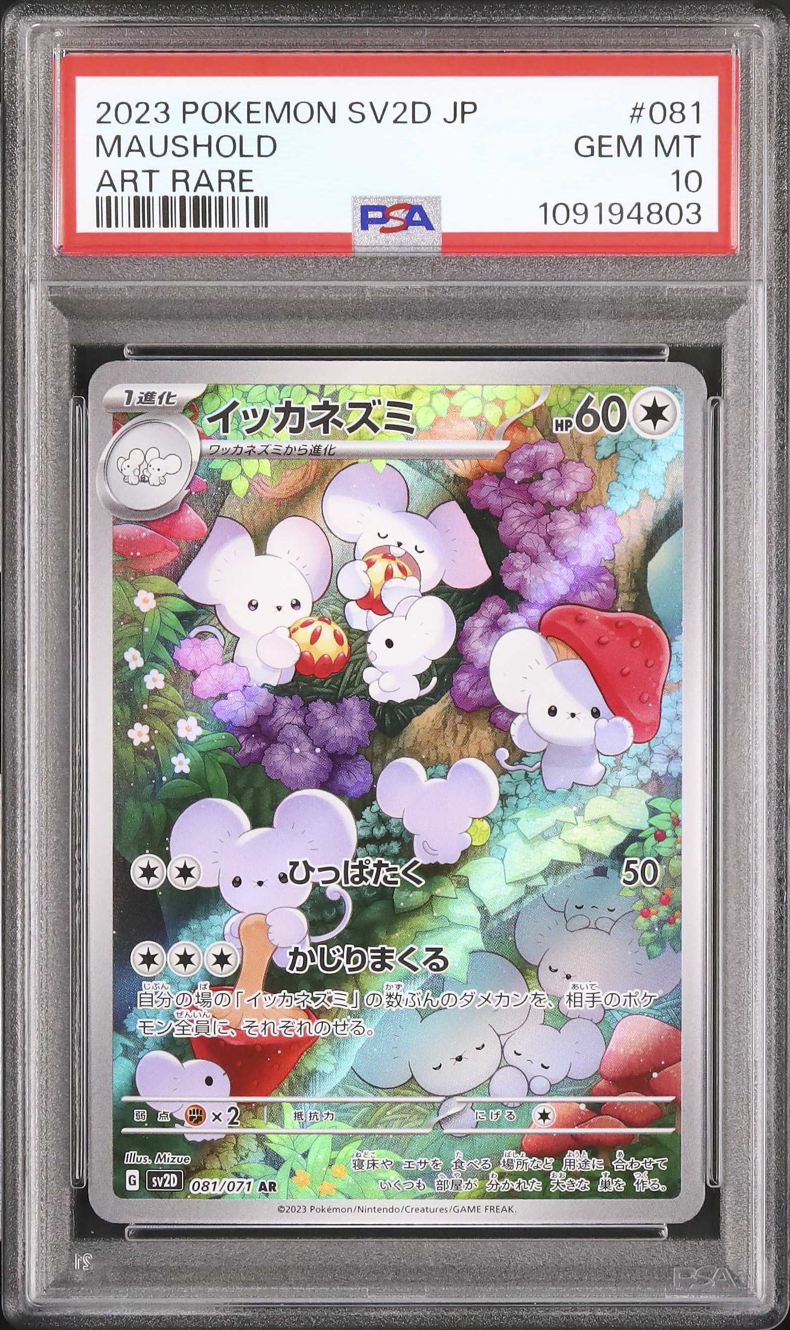 2023 イッカネズミ PSA 10 - カルドバ