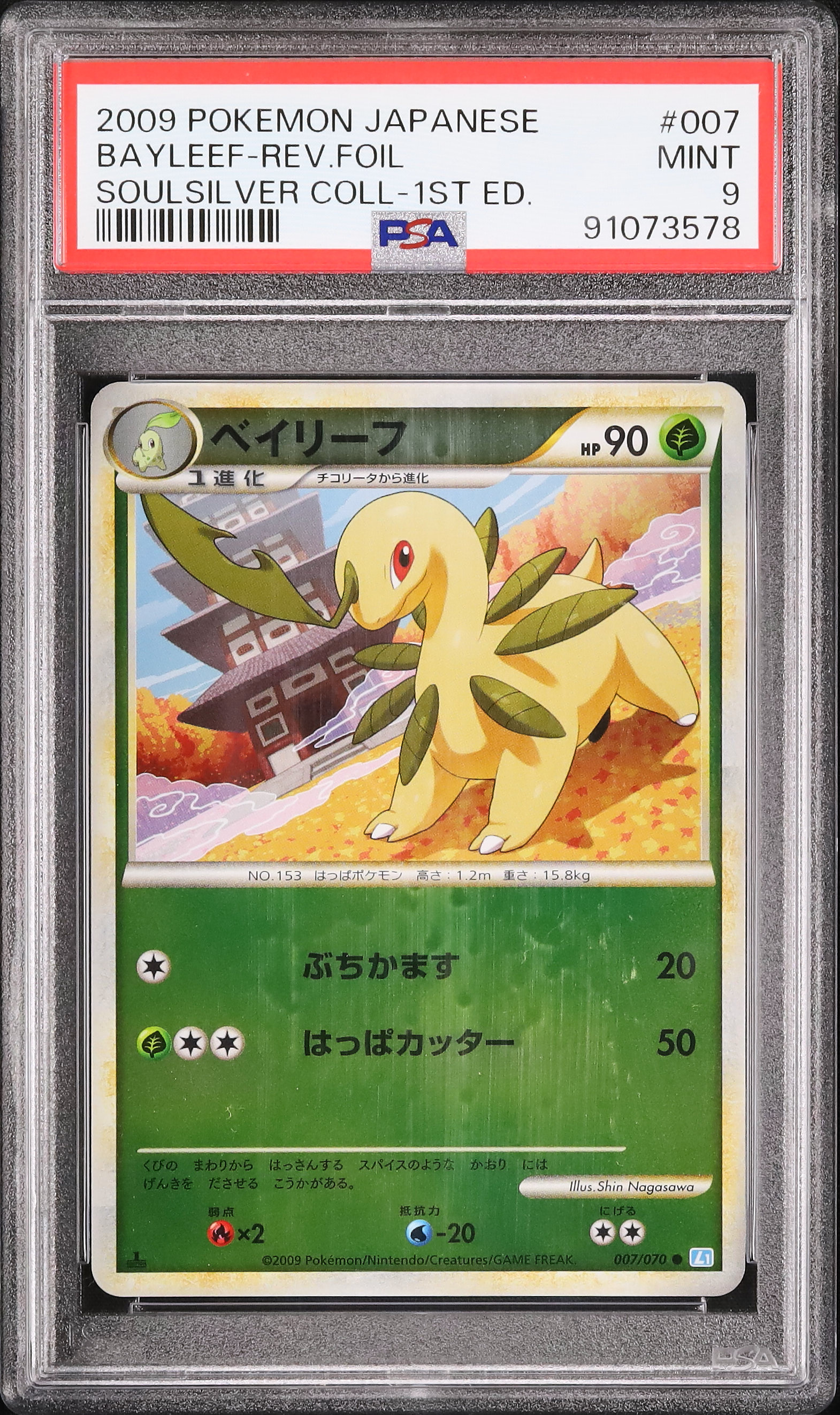 [値下げ可］トレーナーズマガジン　ベイリーフ　マグマラシ　アリゲイツ　PSA鑑定 2009 ベイリーフ PSA 9 1st エディション - カルドバ