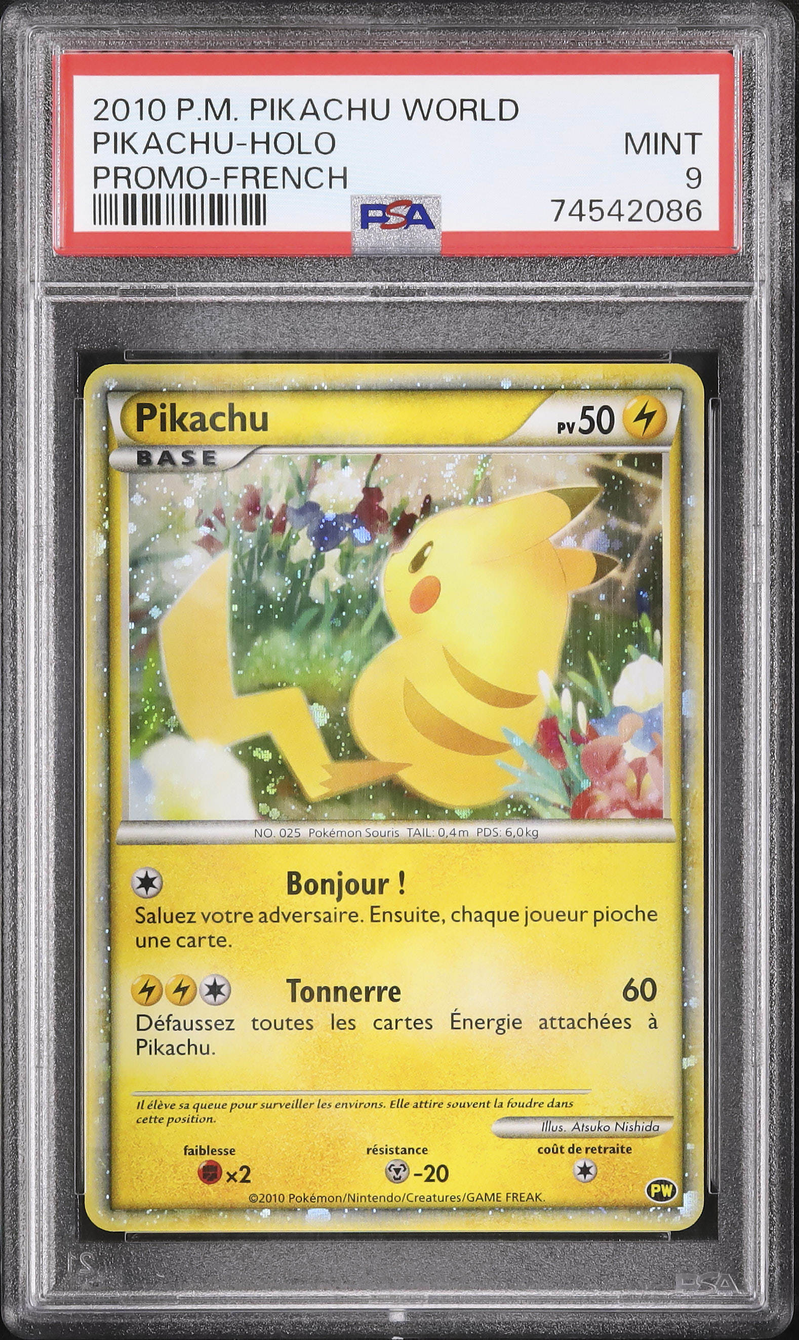 PSA9 Pikachu ホロ ピカチュウ ワールド プロモ フランス 2010
