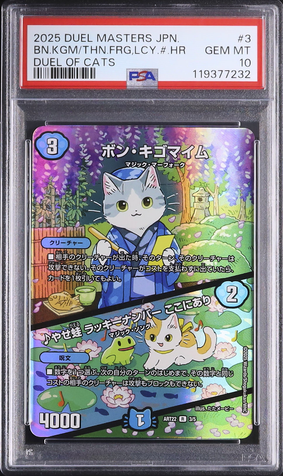 Live Auctions - Cardova Japan