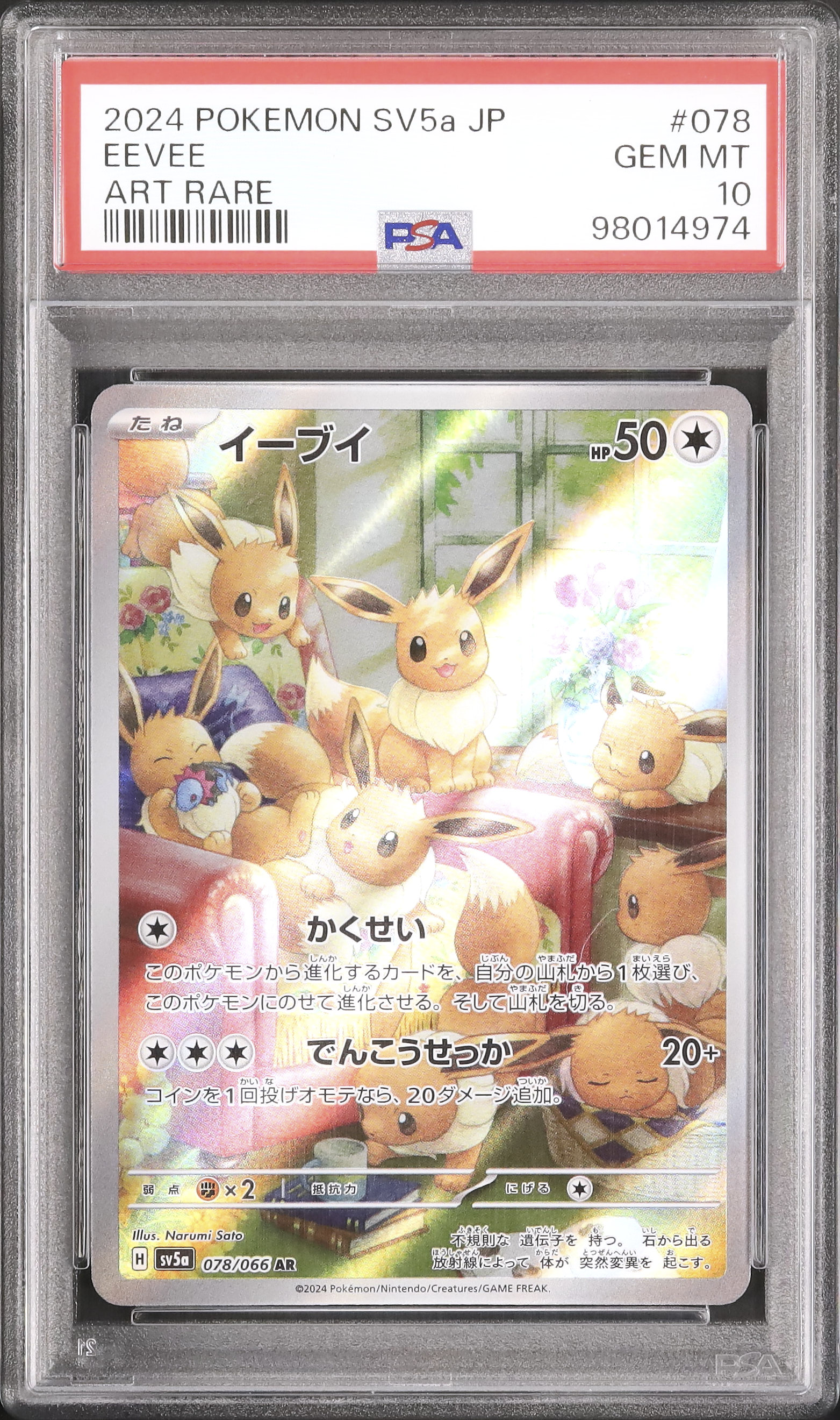 2024 Eevee PSA 10 - Cardova Japan