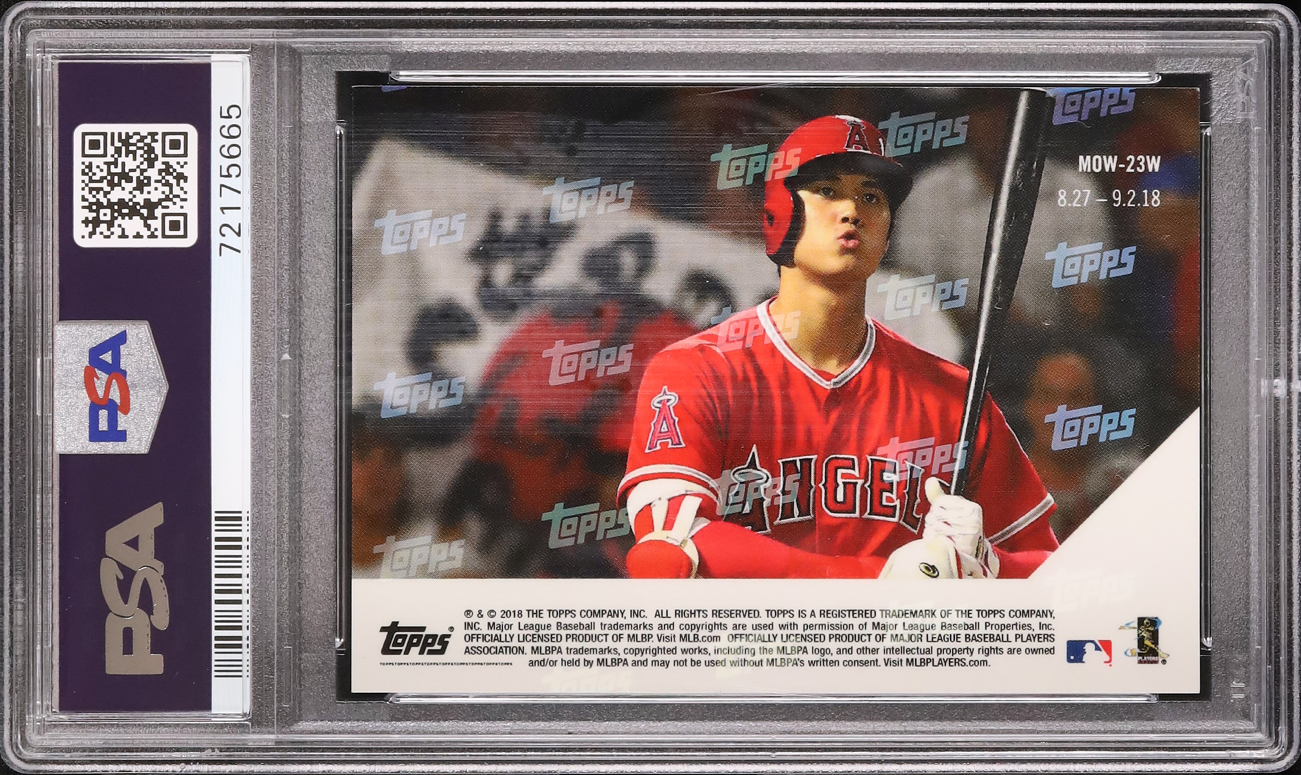 2018 大谷翔平 PSA 8 RC - カルドバ