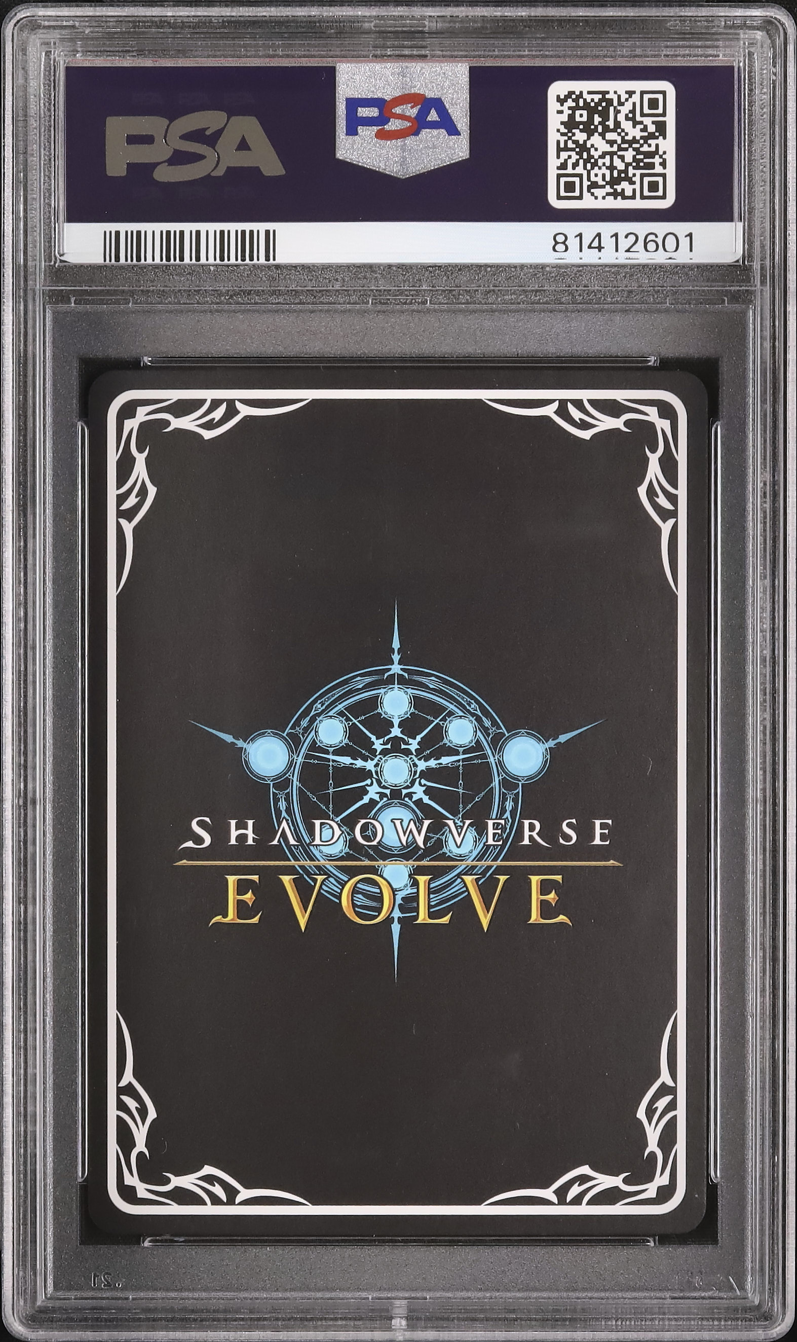 2022 メジロマックイーン (EVOLVE) PSA 10 箔押しサイン - カルドバ