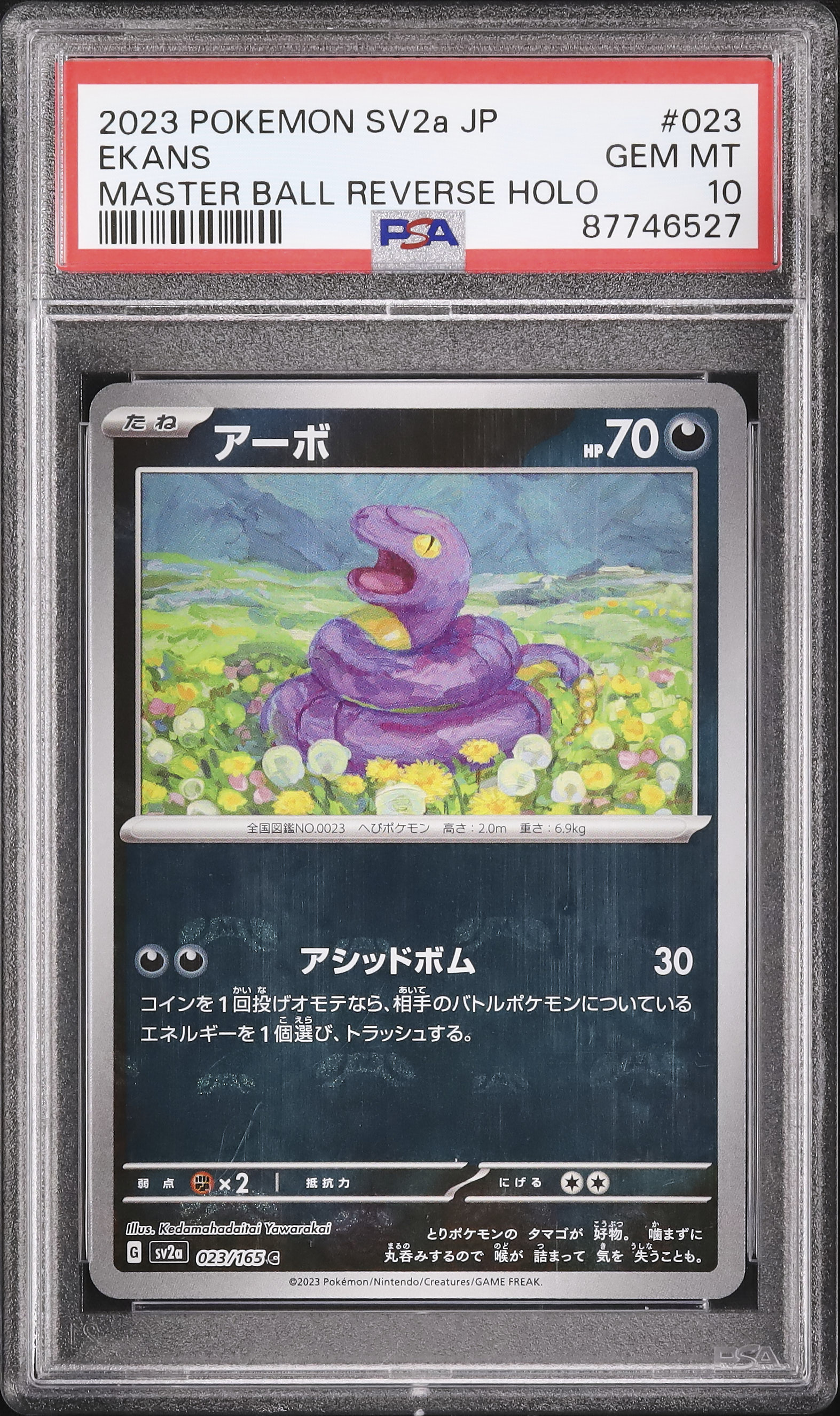 2023 アーボ PSA 10 マスターボール - カルドバ