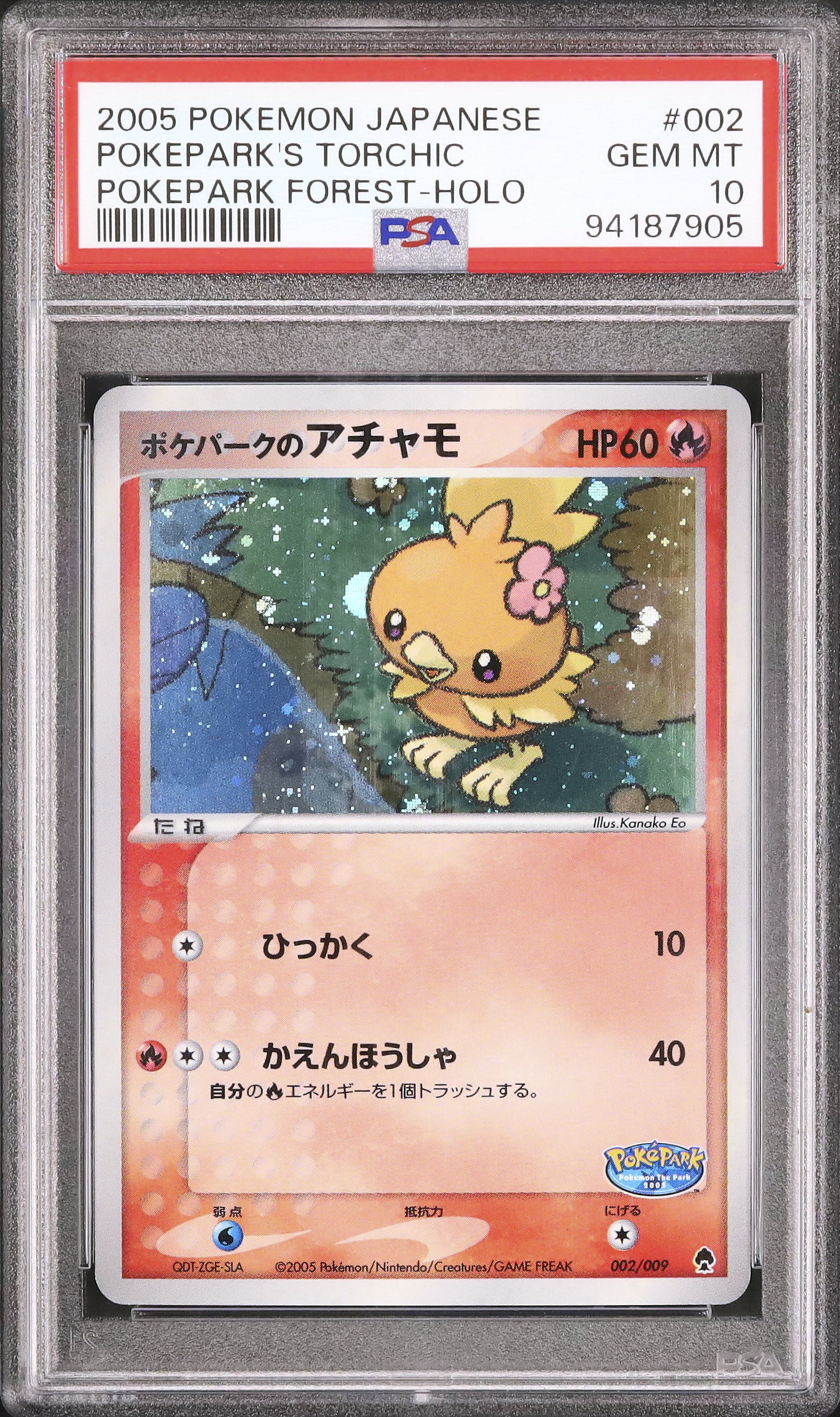 Live Auctions - Cardova Japan