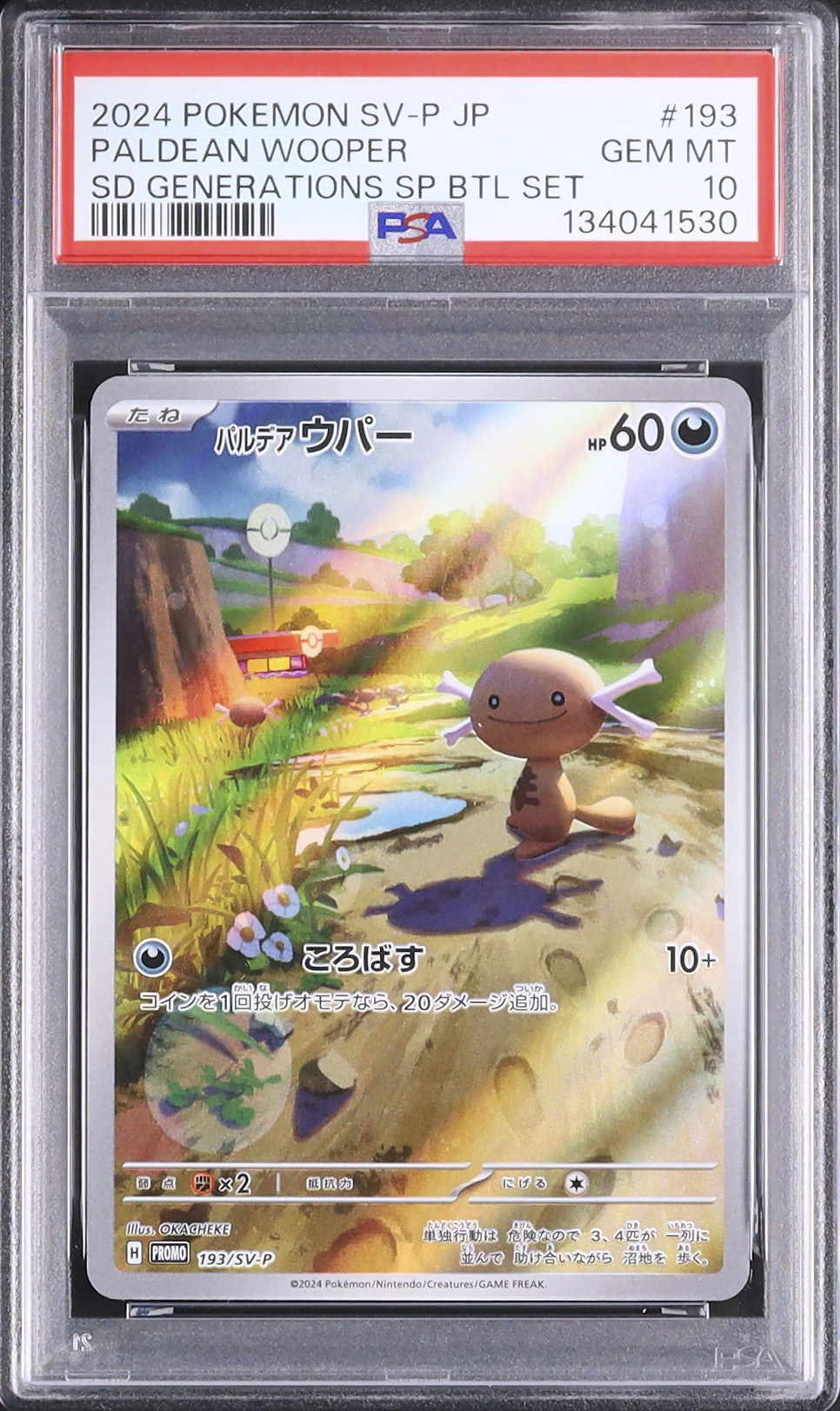 2024 Paldean Wooper PSA 10 AR - Cardova Japan