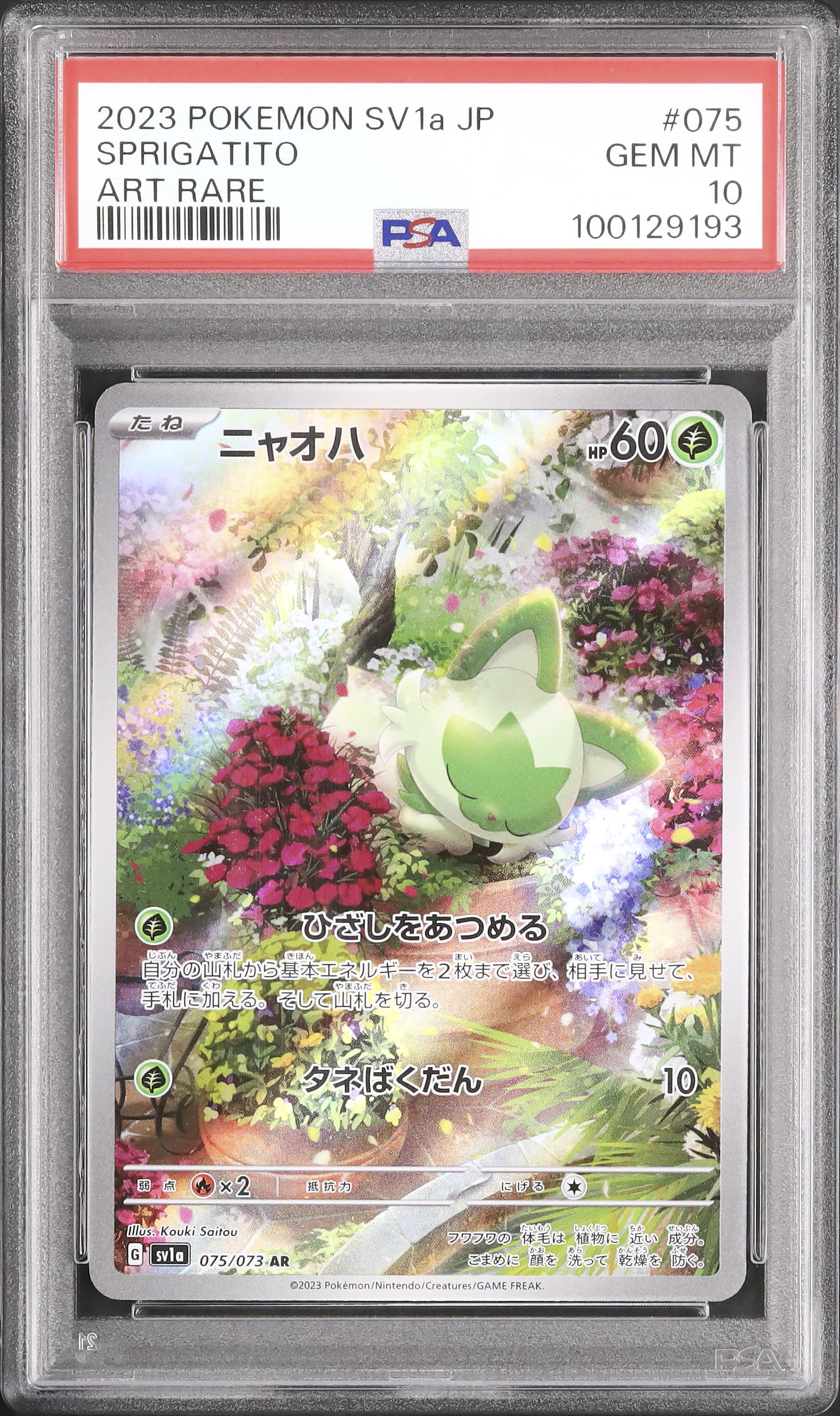 2023 Sprigatito PSA 10 - カルドバ