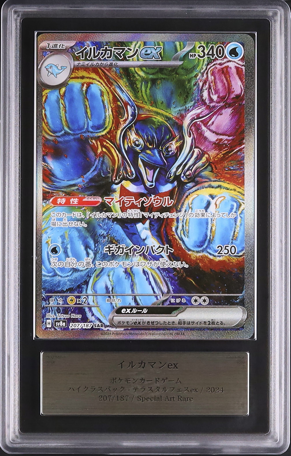 2024 Palafin ex ARS 10 - Cardova Japan