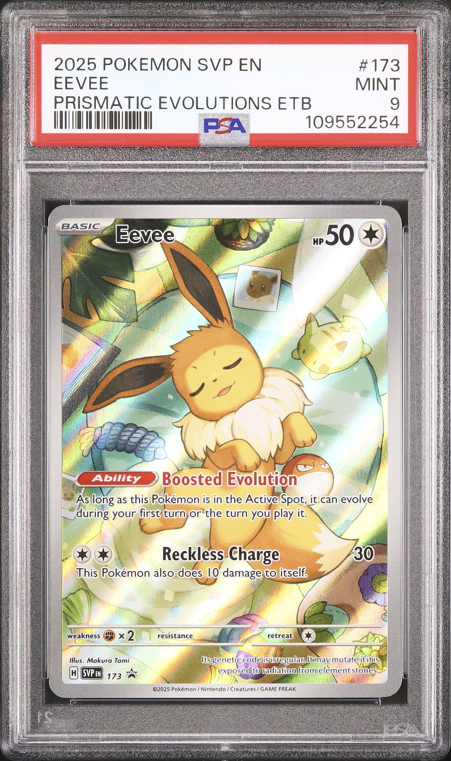 2025 Eevee PSA 9 AR - Cardova Japan