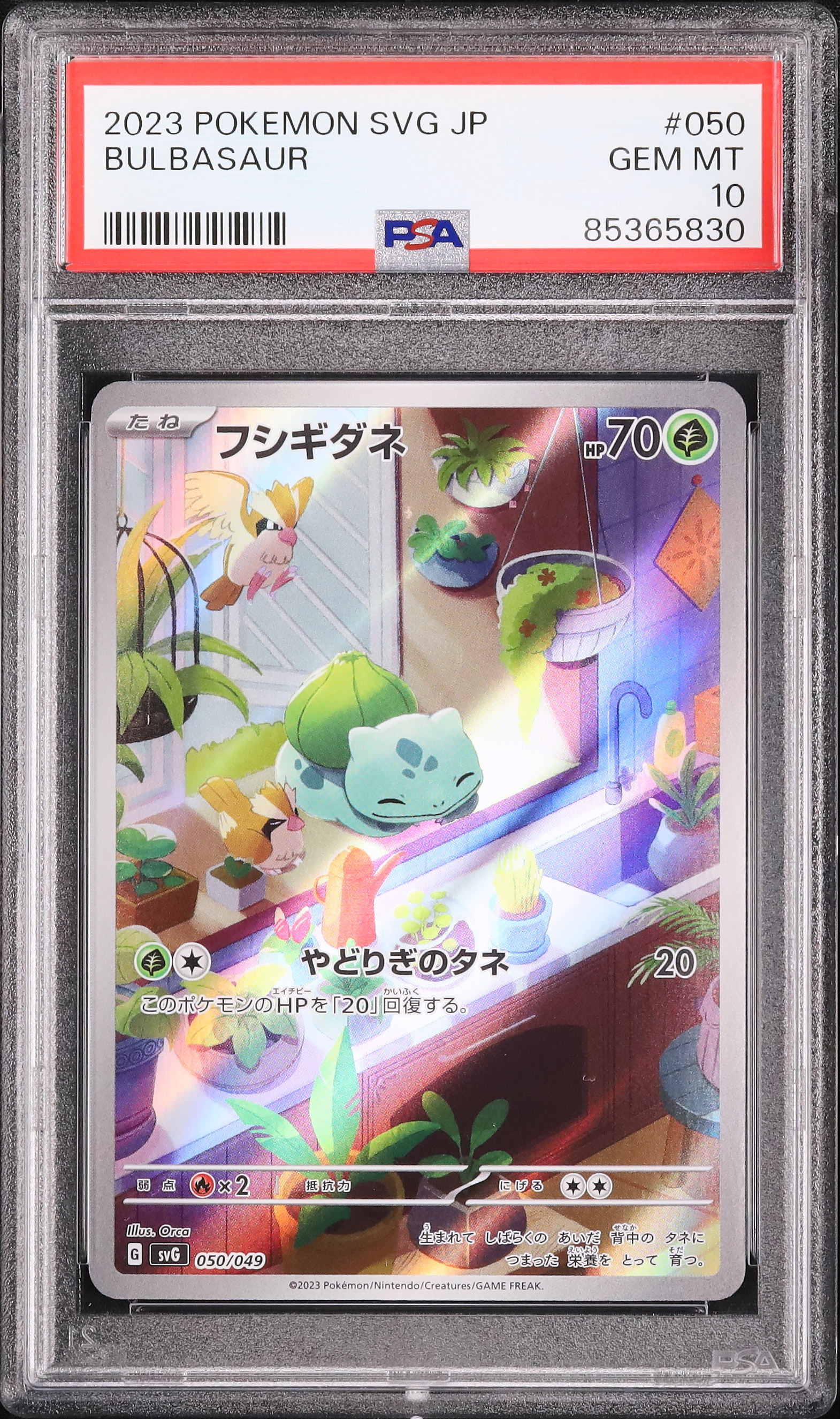2023 Bulbasaur PSA 10 AR - カルドバ