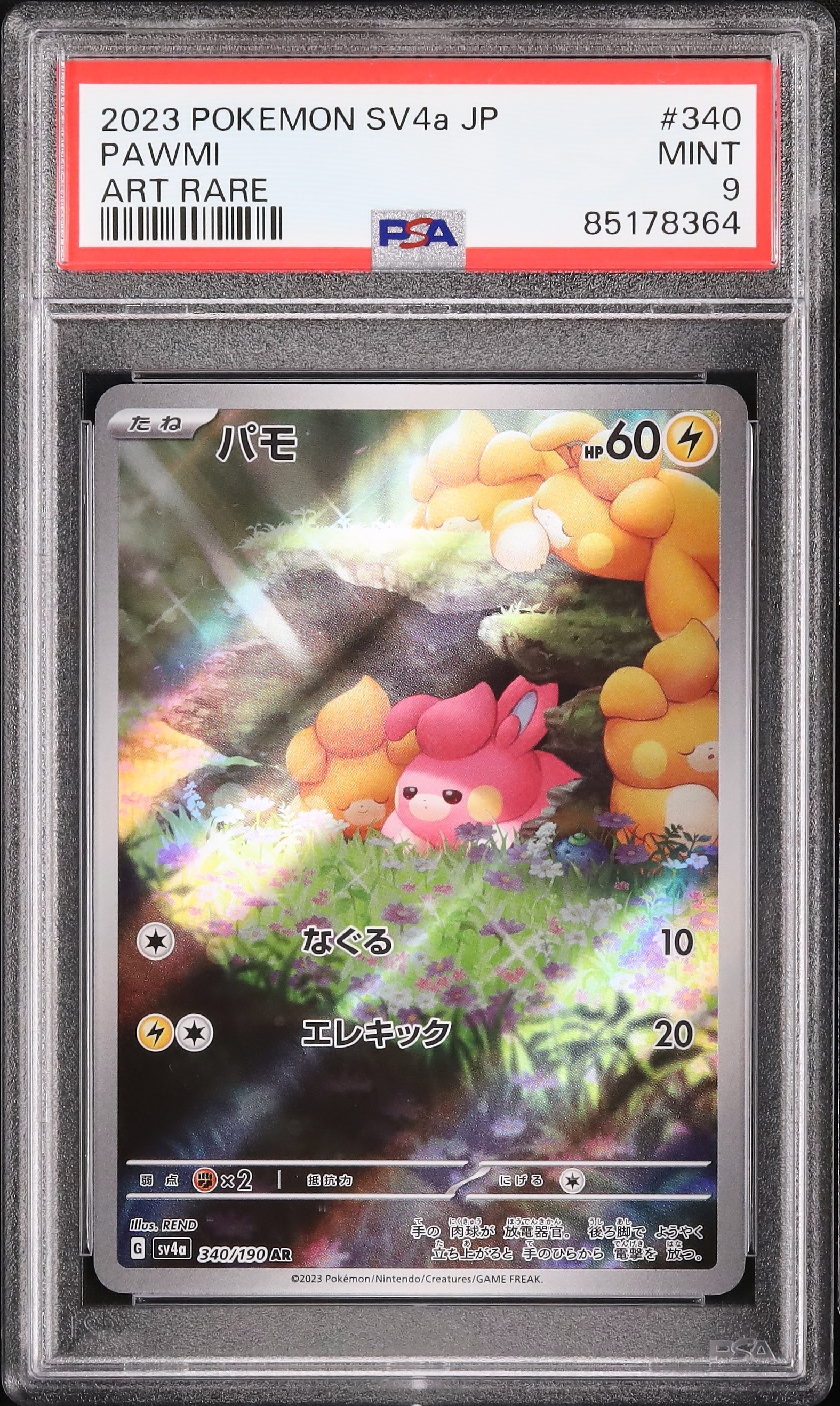 2023 パモ PSA 9 色違い - カルドバ