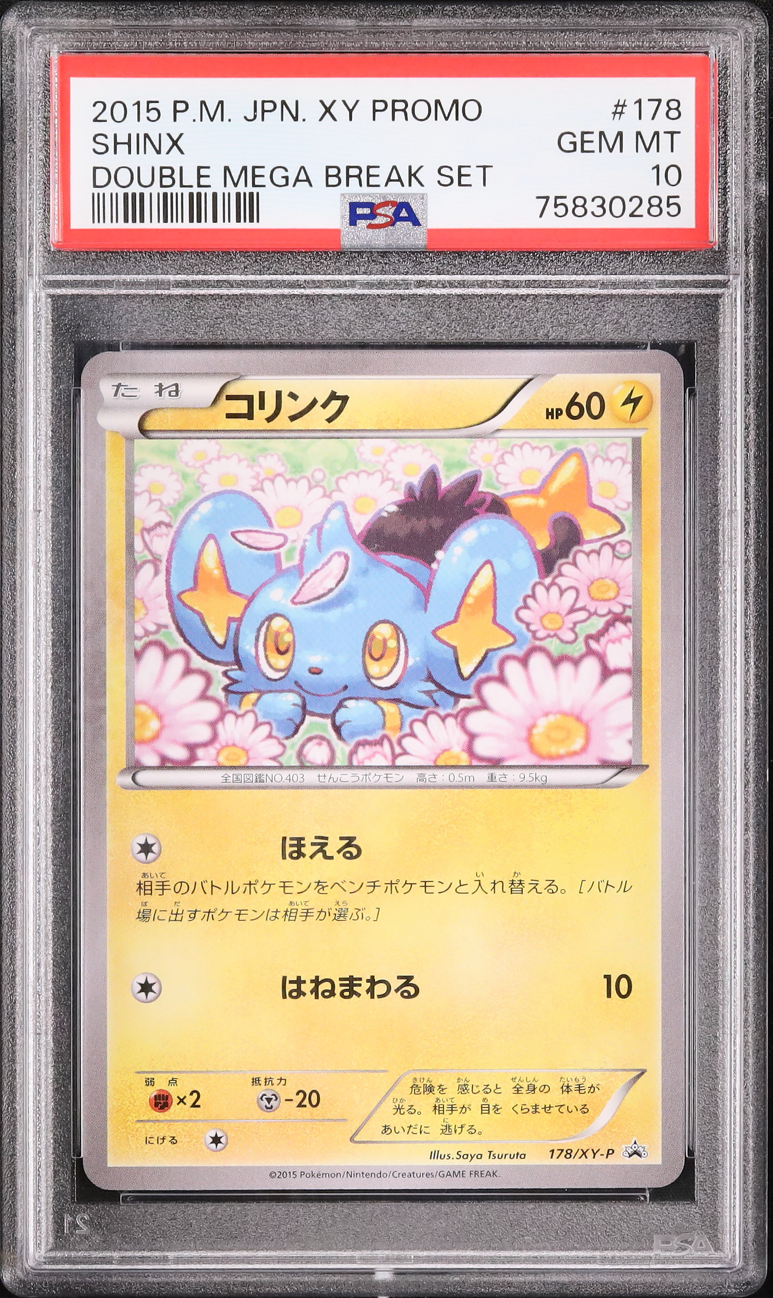 コイキング　10枚 2015 Shinx PSA 10 - カルドバ