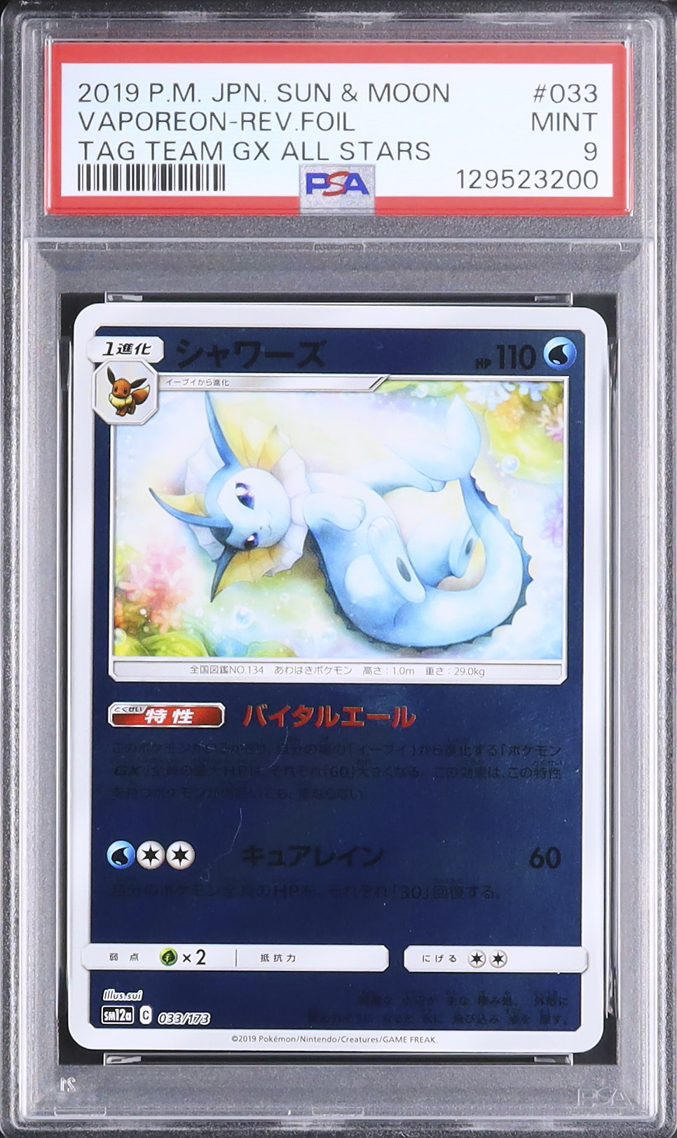 ポケモンカード シャワーズ ジムプロモ PSA9 2019 シャワーズ PSA 9 ミラー - カルドバ