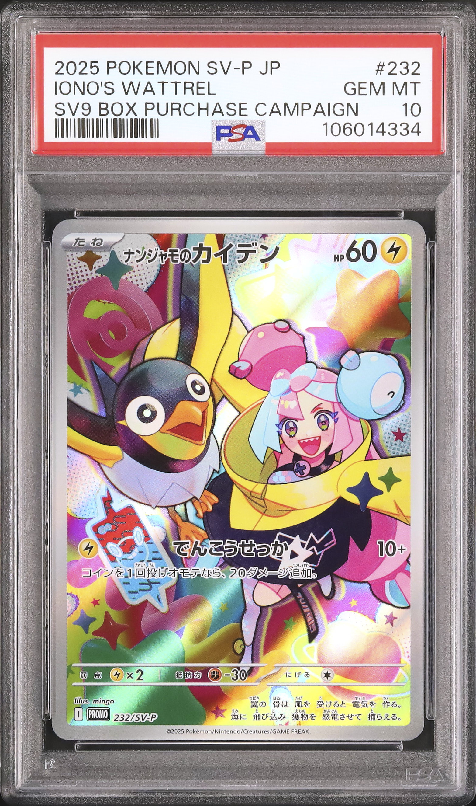 2025 ナンジャモのカイデン PSA 10 AR仕様 - カルドバ