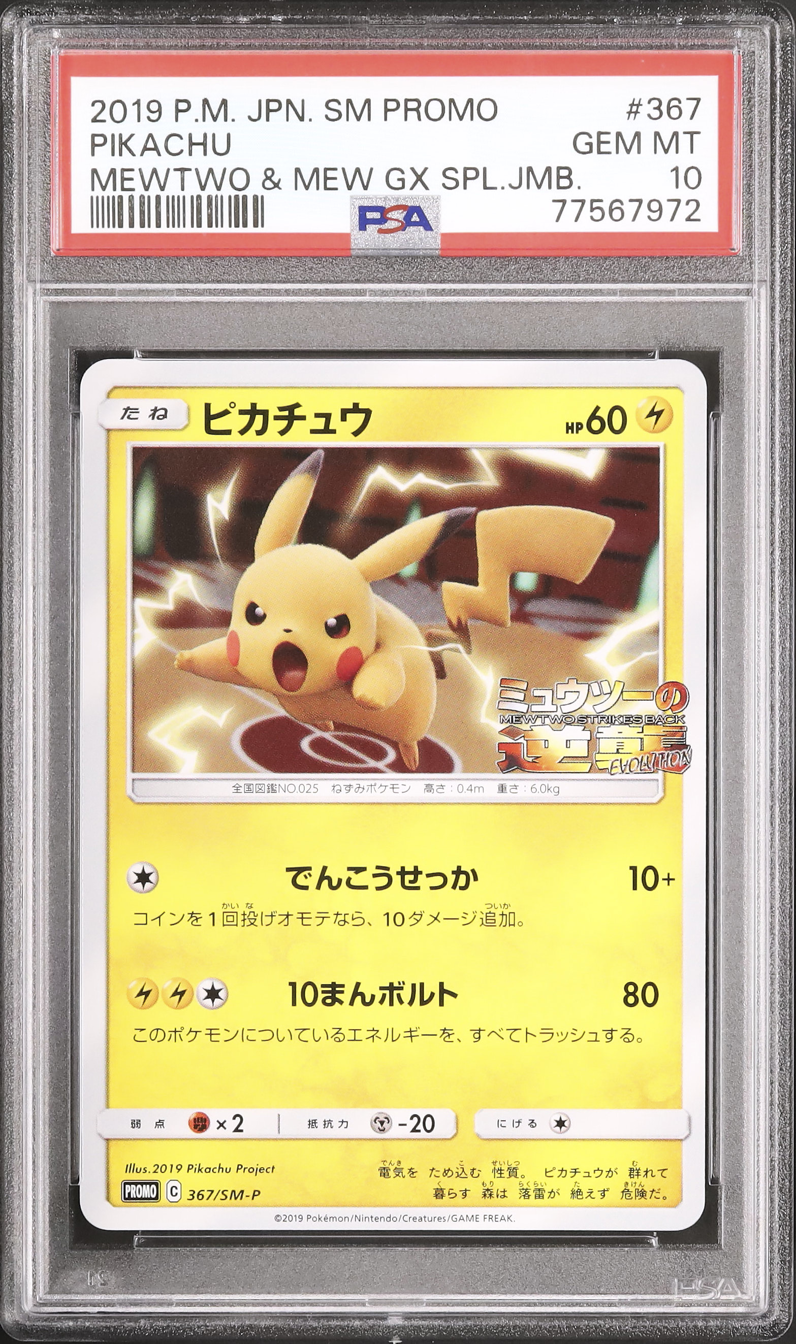 イ*！様 2019年 ピカチュウ PSA 10 プロモカード PSA10】ピカチュウ (プロモ) {288/SM-P} [-] - magi通販