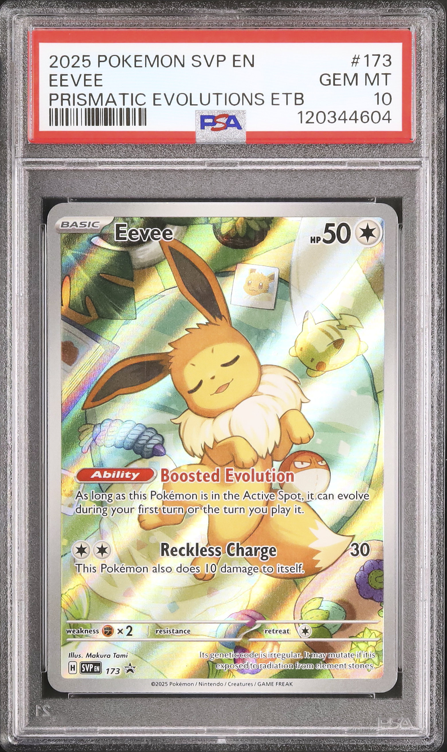 2025 イーブイ PSA 10 AR仕様 - カルドバ