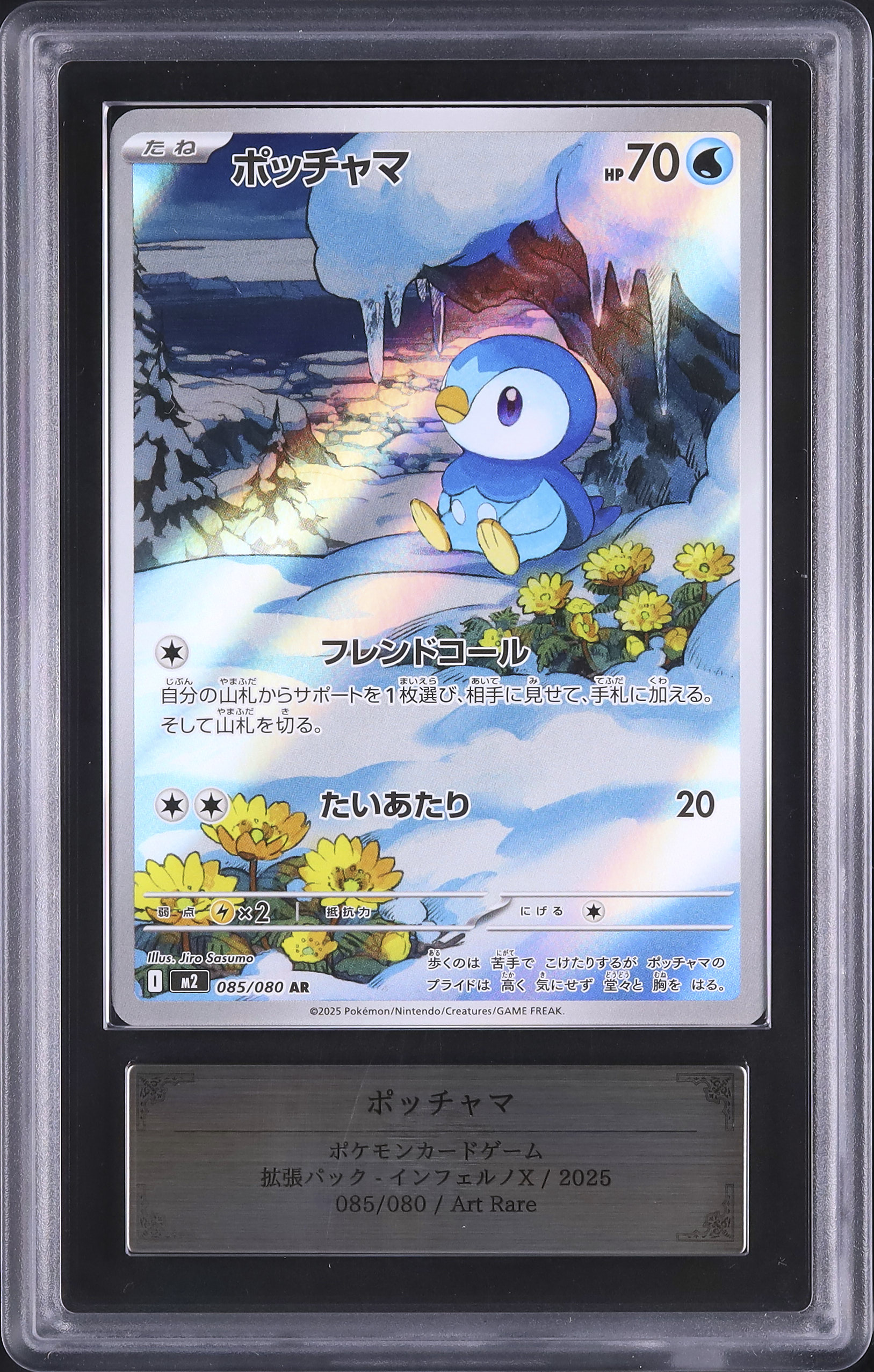 2025 ポッチャマ ARS 9 - カルドバ