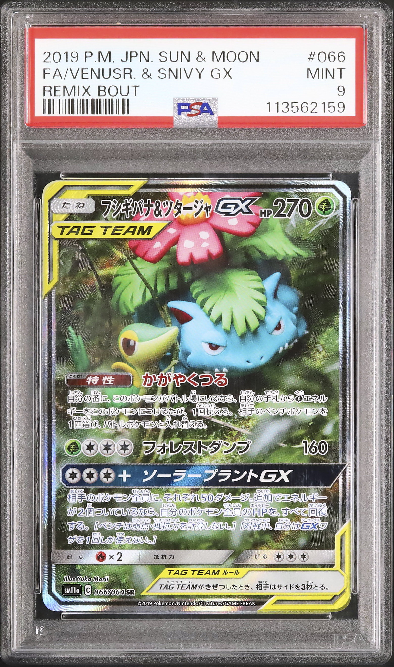 【PSA9】ポケモンカード シール列伝 フシギバナ 2019 フシギバナ&ツタージャGX PSA 9 スペシャルアート - カルドバ