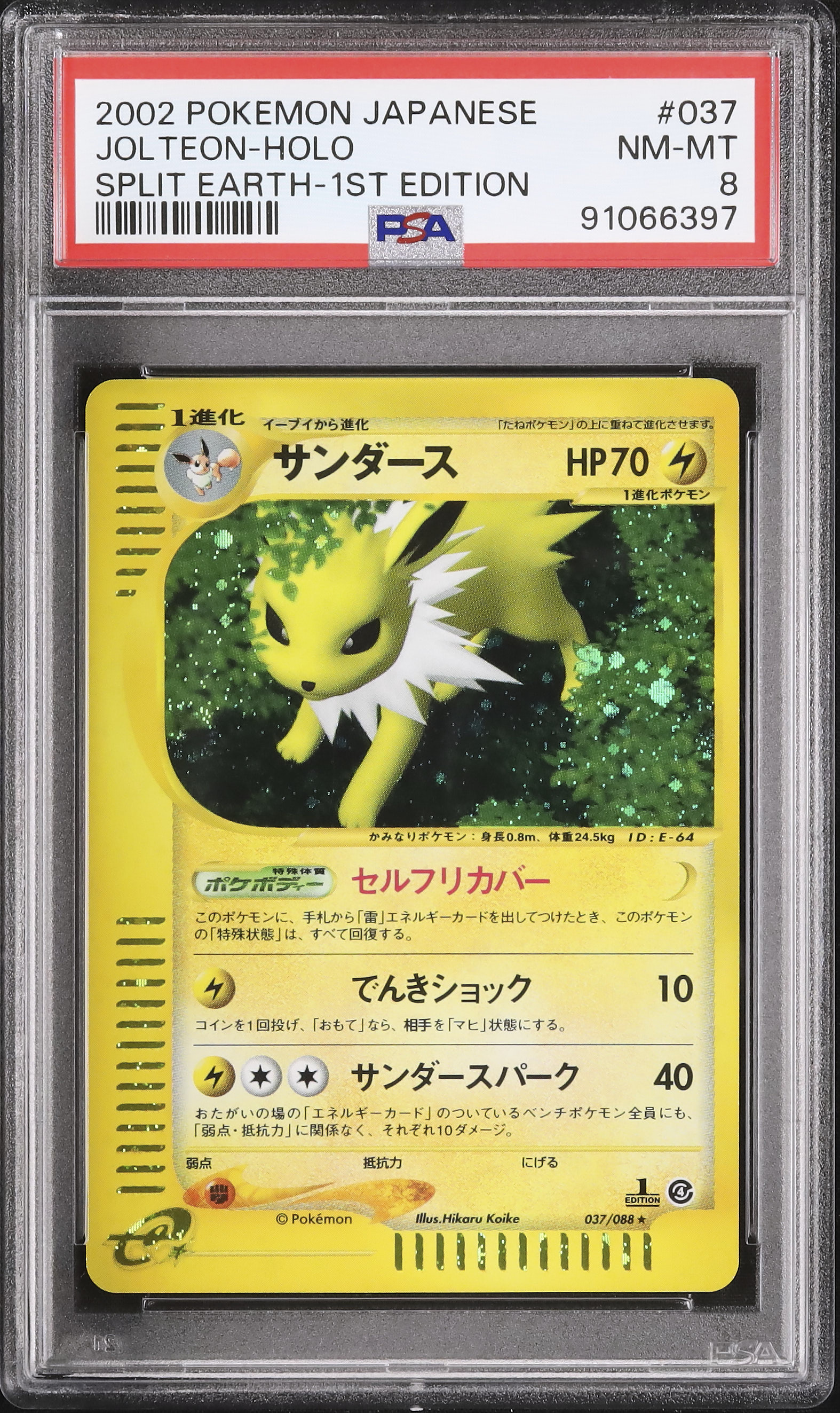 2002 サンダース PSA 8 ホロ 1st エディション - カルドバ