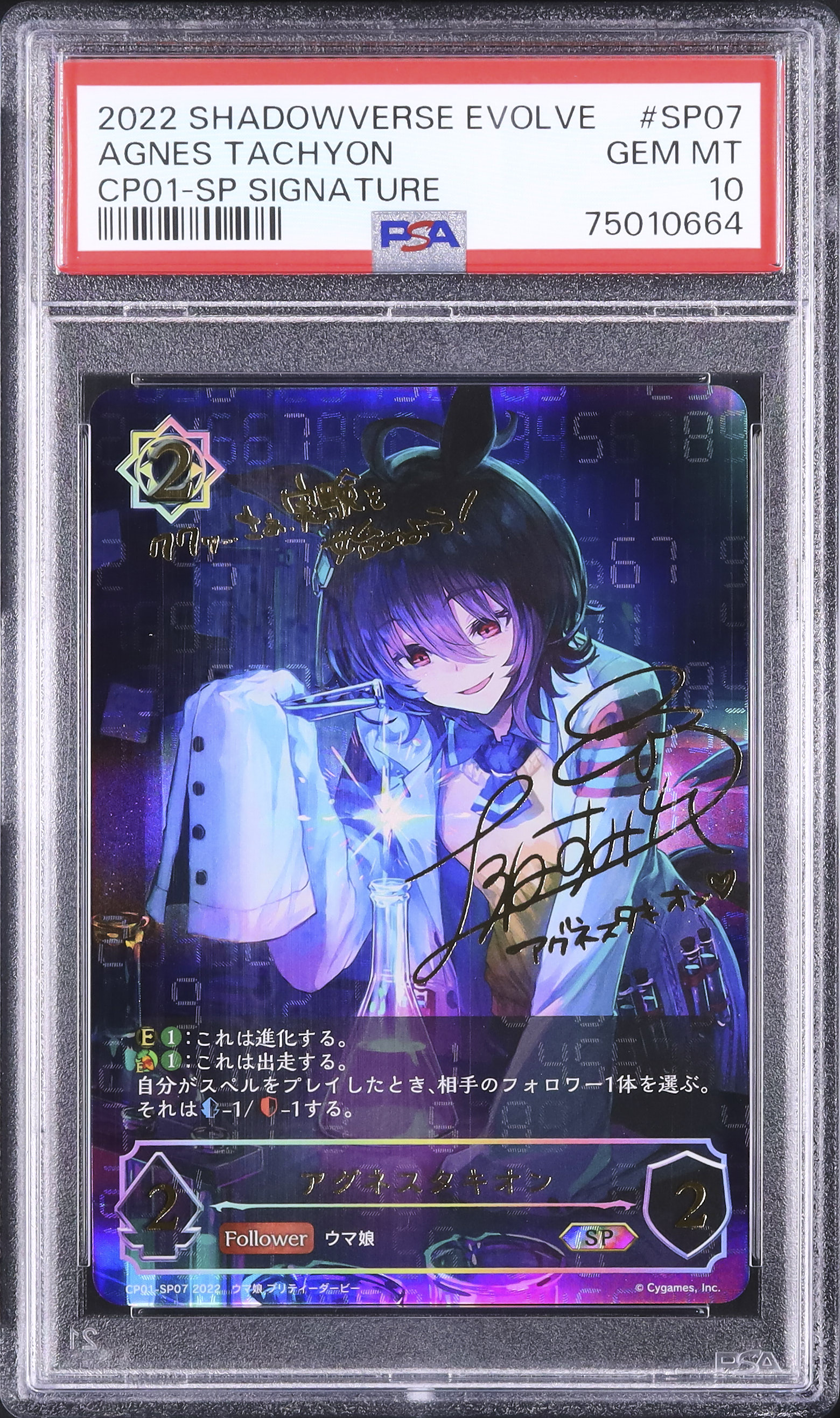 開催中のオークション - カルドバ