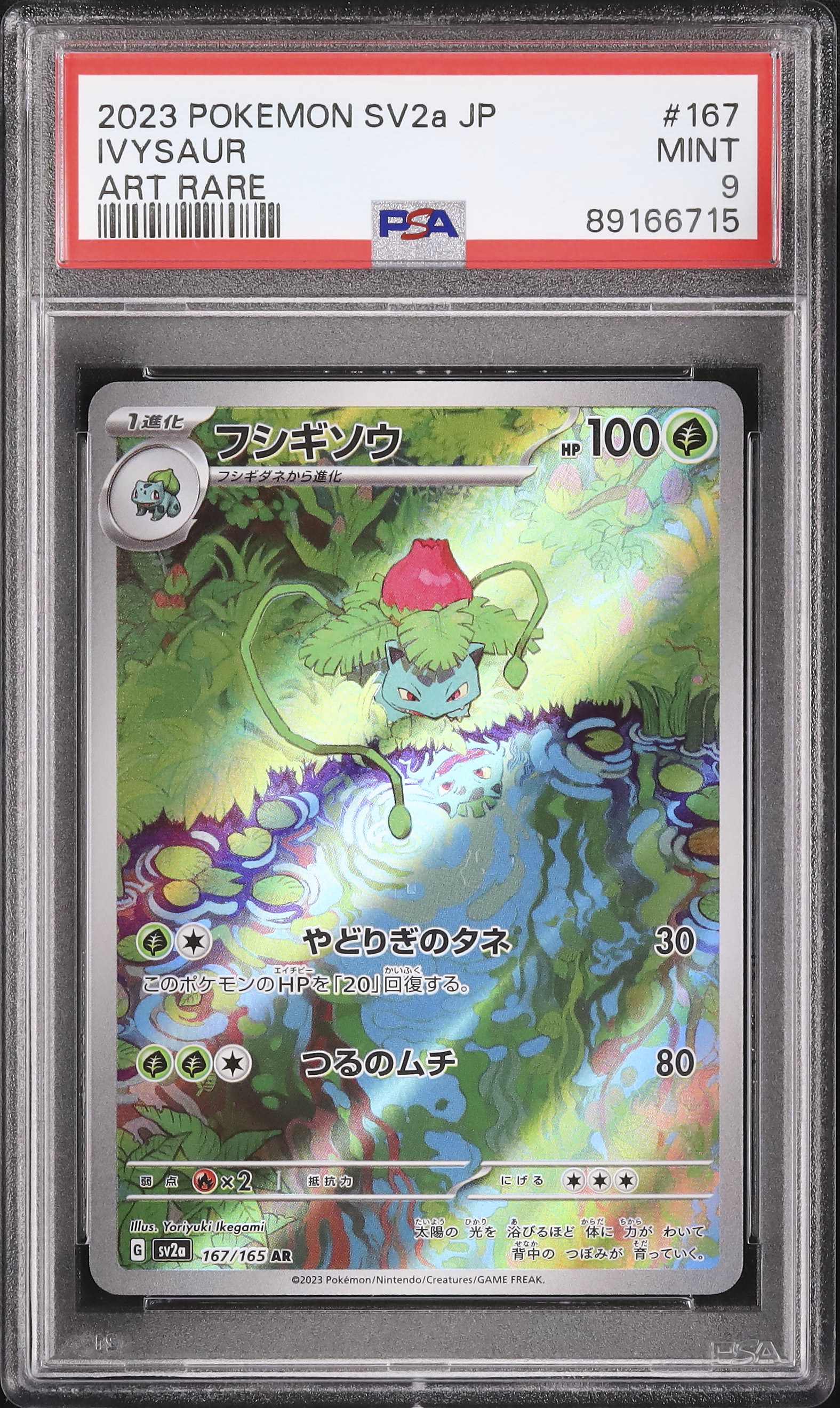 ポケモンカード 旧裏 フシギバナ マーク無し 初版 ポケモンカード 1996