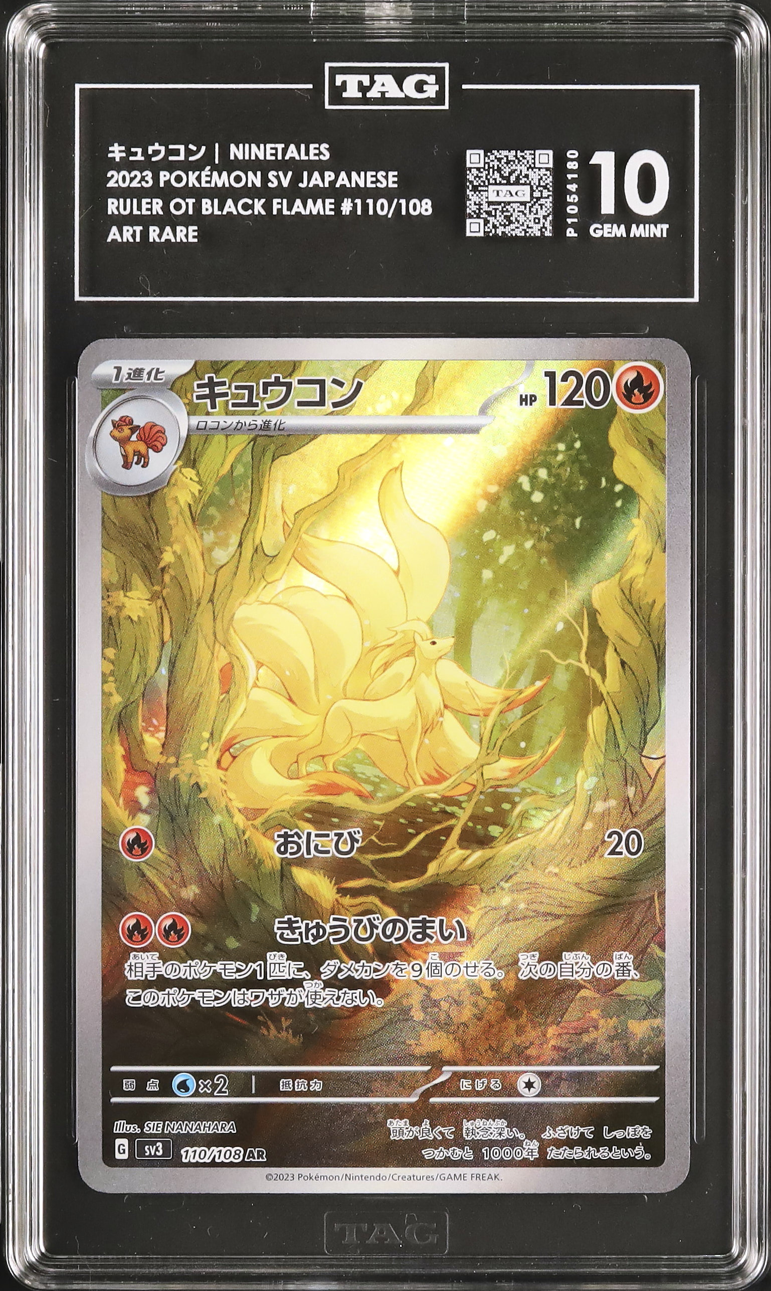 2023 Ninetales TAG 10 - Cardova Japan