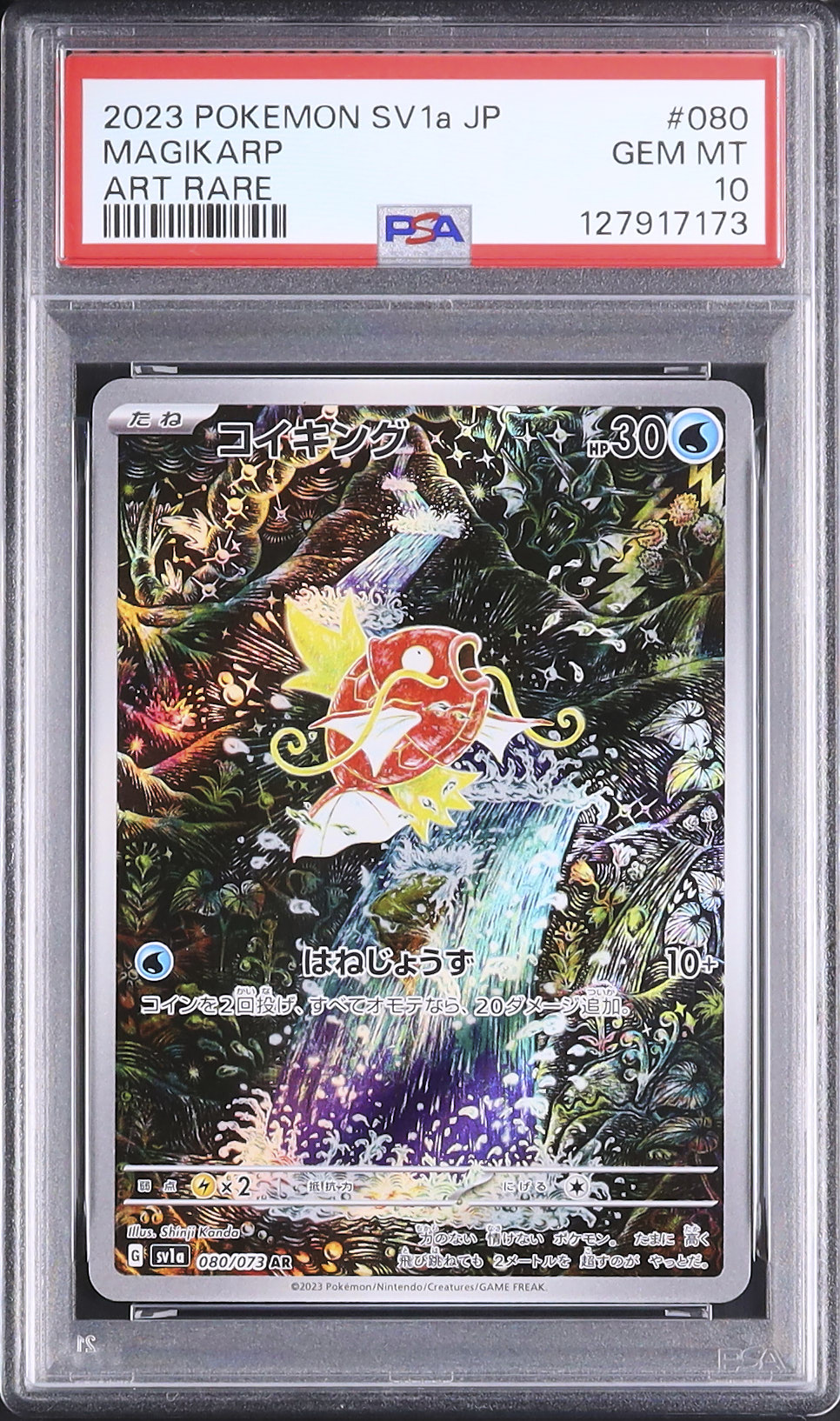 2023 コイキング PSA 10 - カルドバ