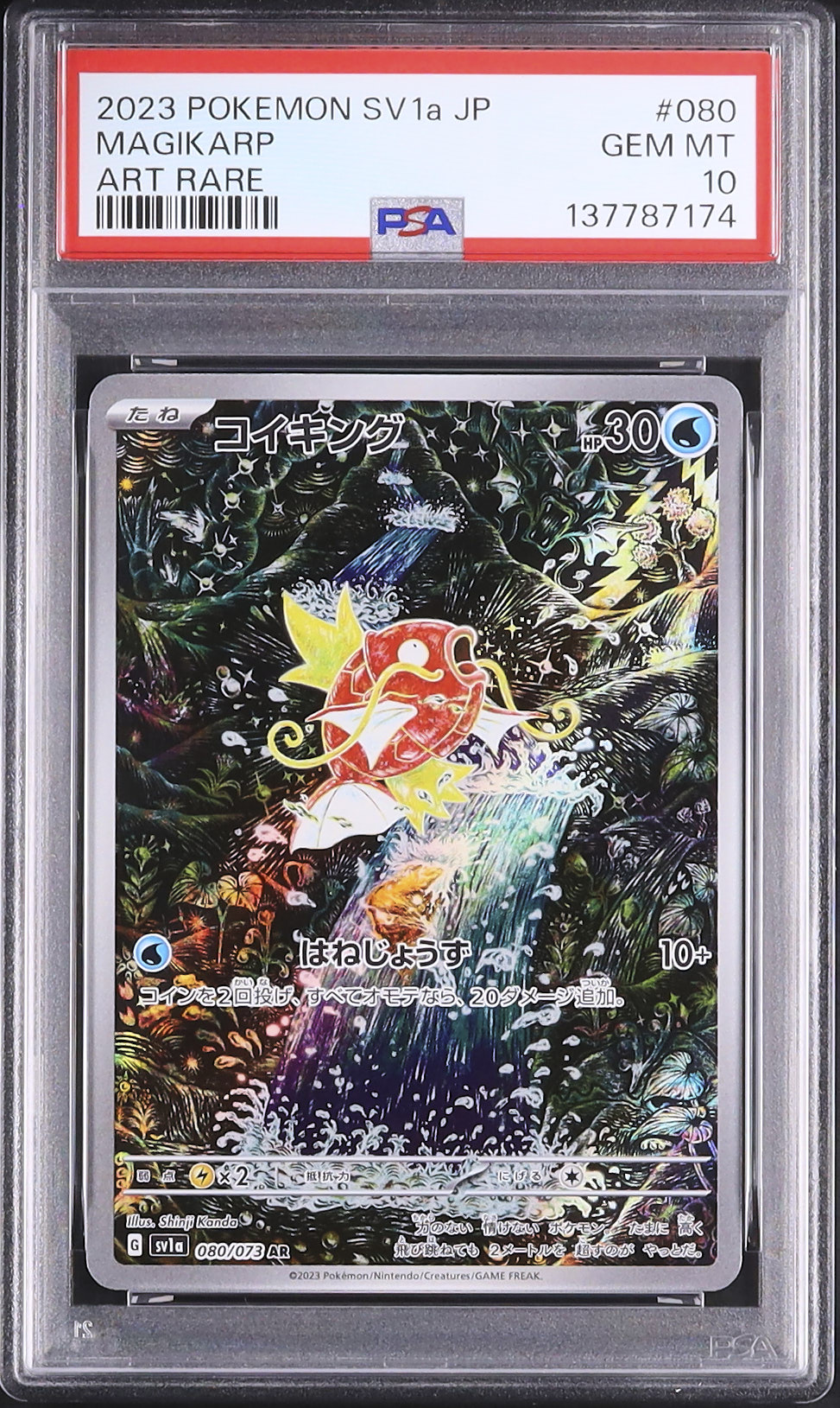 ケ*ジ様 ポケモンカード コイキング 2023 PSA10 ケ*ジ様 ポケモンカード コイキング 2023 PSA10 【公式通販】