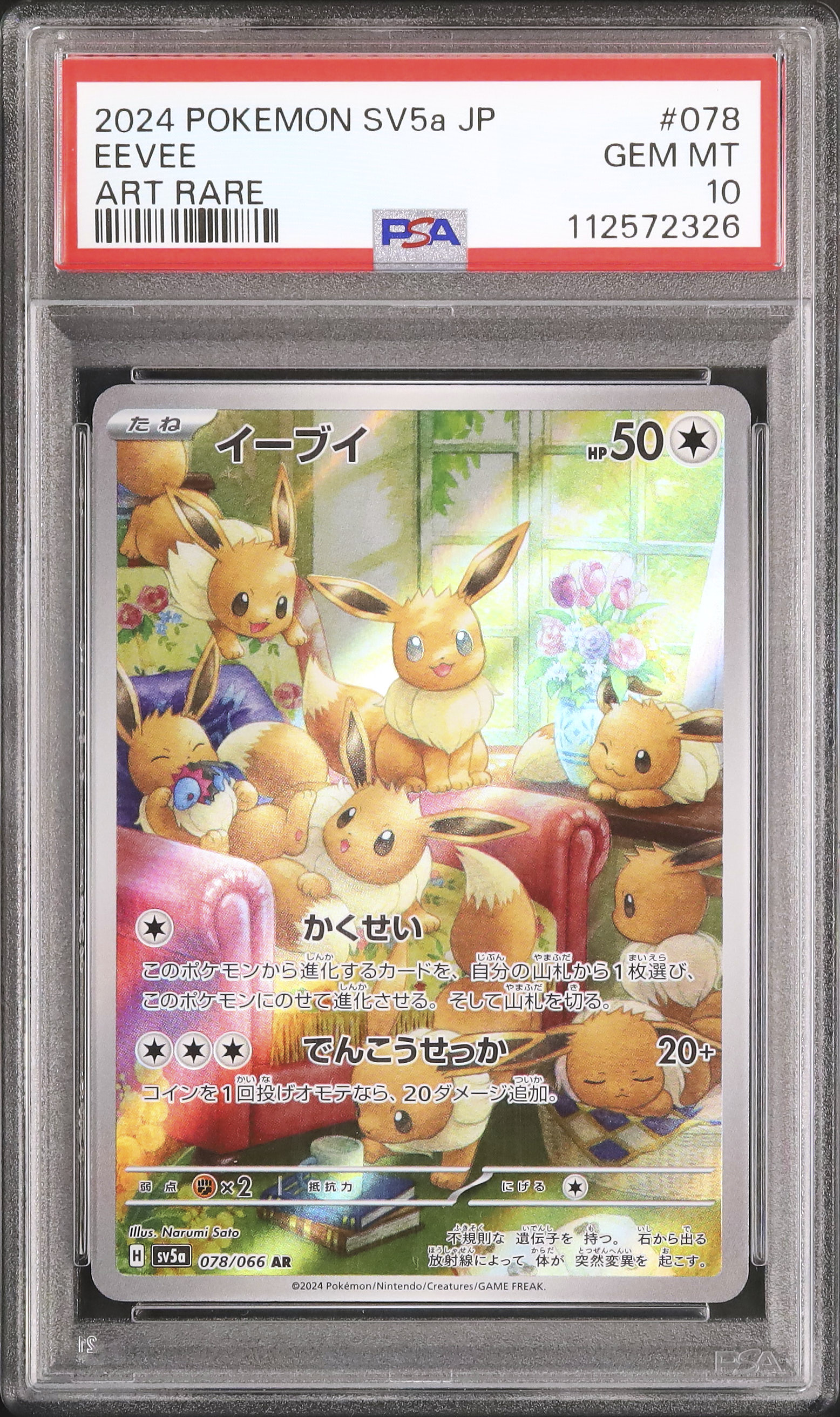 psa10 2024 ポケモンカード イーブイ ART RARE #078 2024 イーブイ PSA 10 - カルドバ