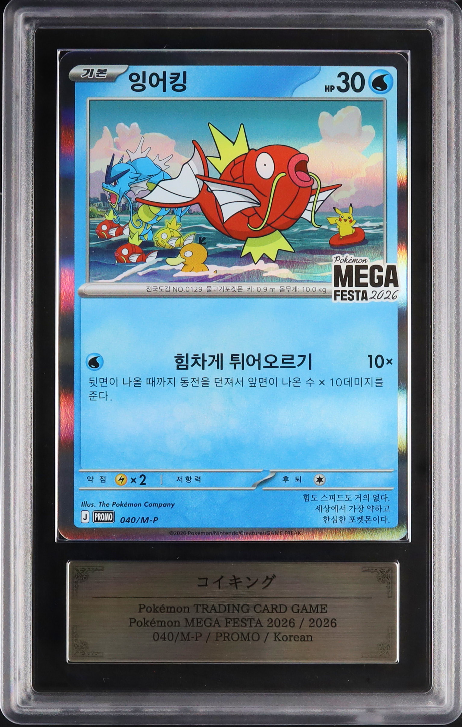 韓国限定ポケモンカード MEGA FESTA 2026 コイキングプロモ 10枚 2026 コイキング ARS 10 - カルドバ