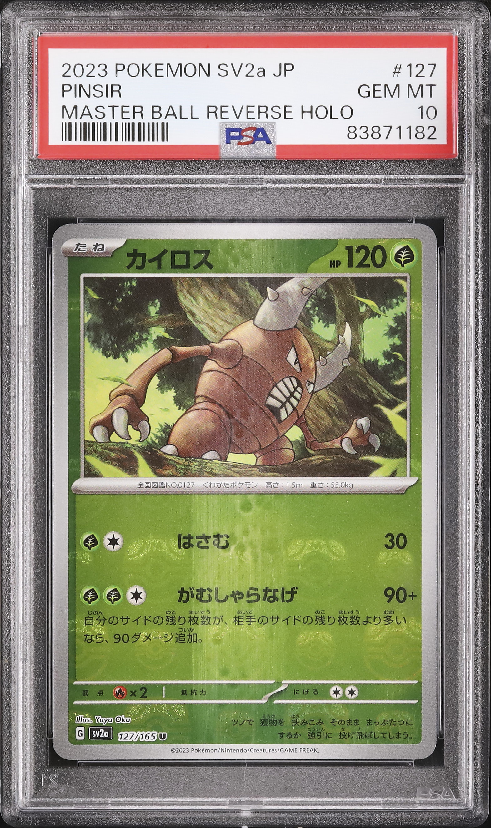 2023 カイロス PSA 10 マスターボール - カルドバ