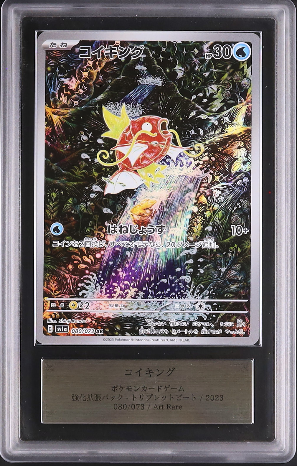 2023 コイキング ARS 10 - カルドバ