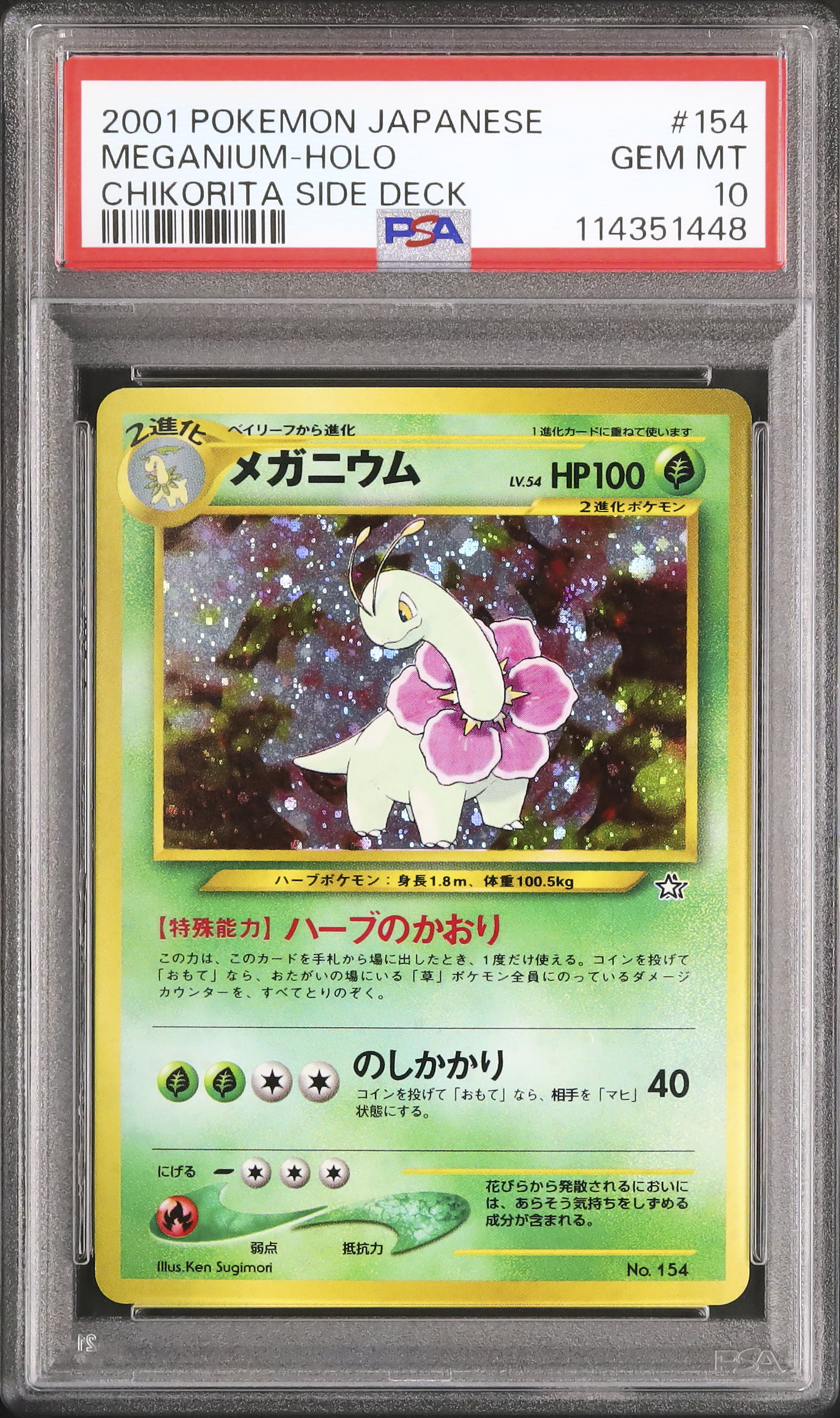 ポケモン - ポケモンカード　eカード　メガニウム　レトロ　ホロ メガニウム | ポケモンカードe 第1弾基本拡張パック(102/128)