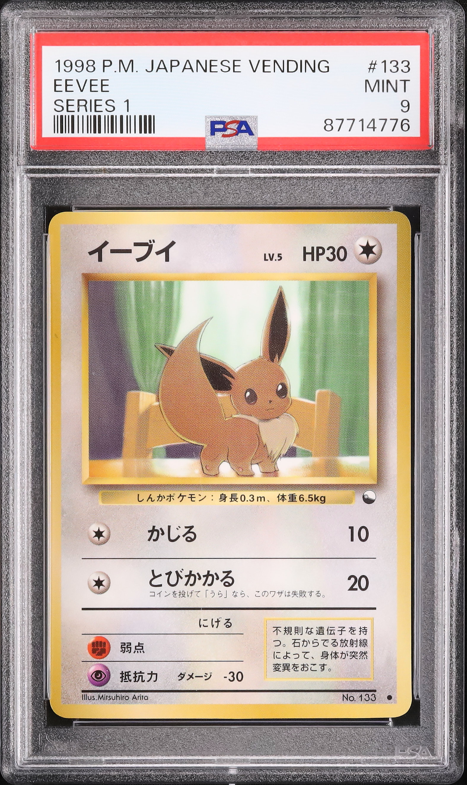 PSA9 イーブイ 1998年 ポケモンカード 1998 イーブイ PSA 9 - カルドバ