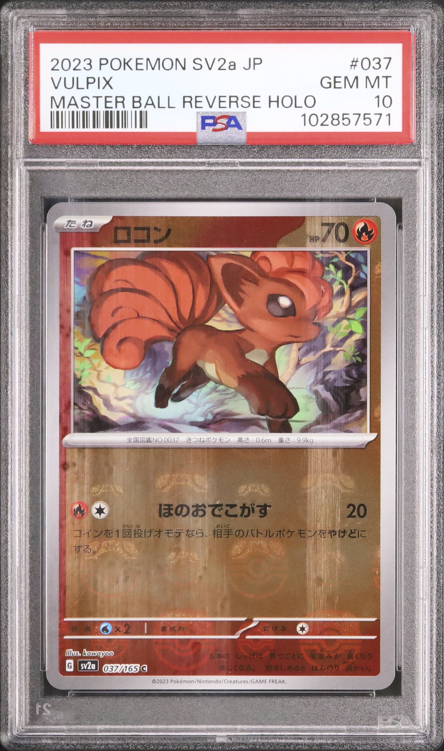 2023 ロコン PSA 10 マスターボール - カルドバ