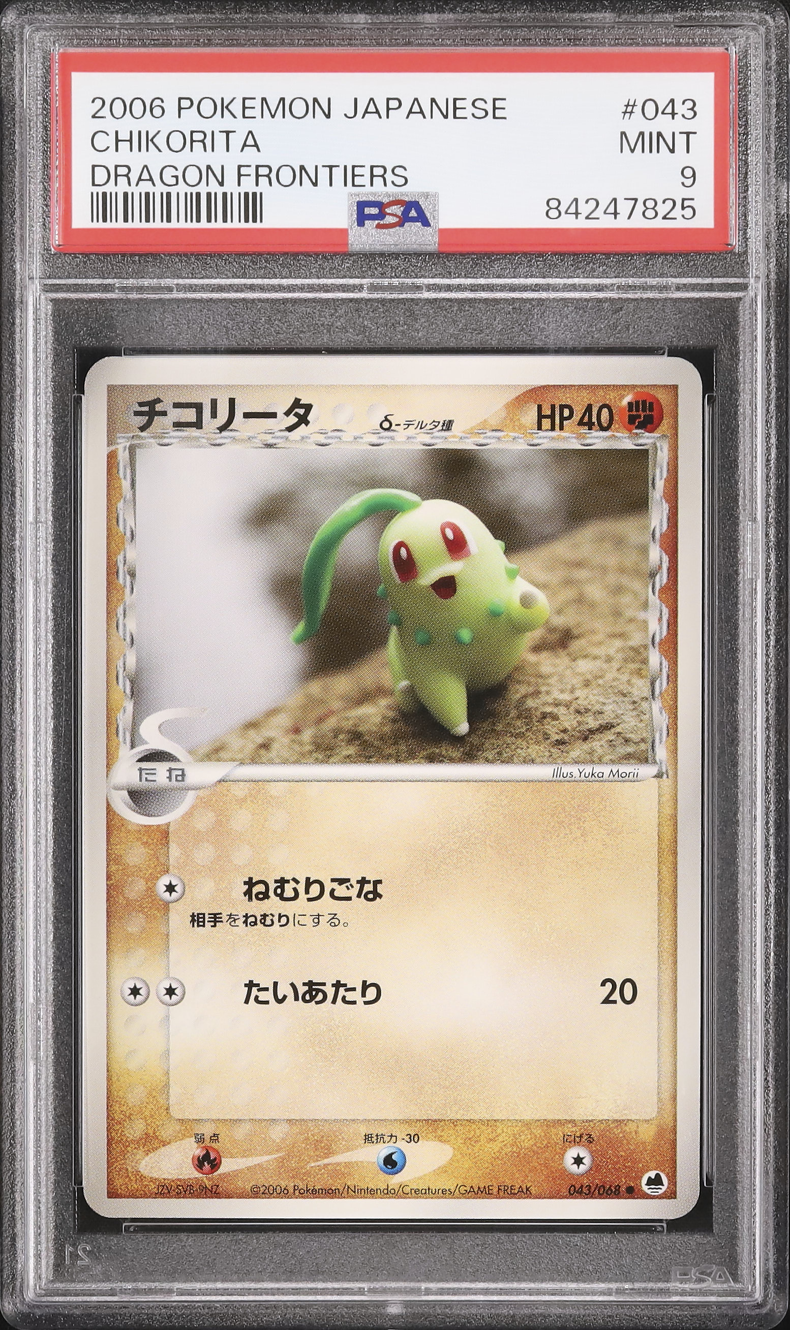 PSA9 チコリータ e1 エディションなし アンリミ版 005/029 鑑定品 PSA9 チコリータ e1 エディションなし アンリミ版 005/029 鑑定品