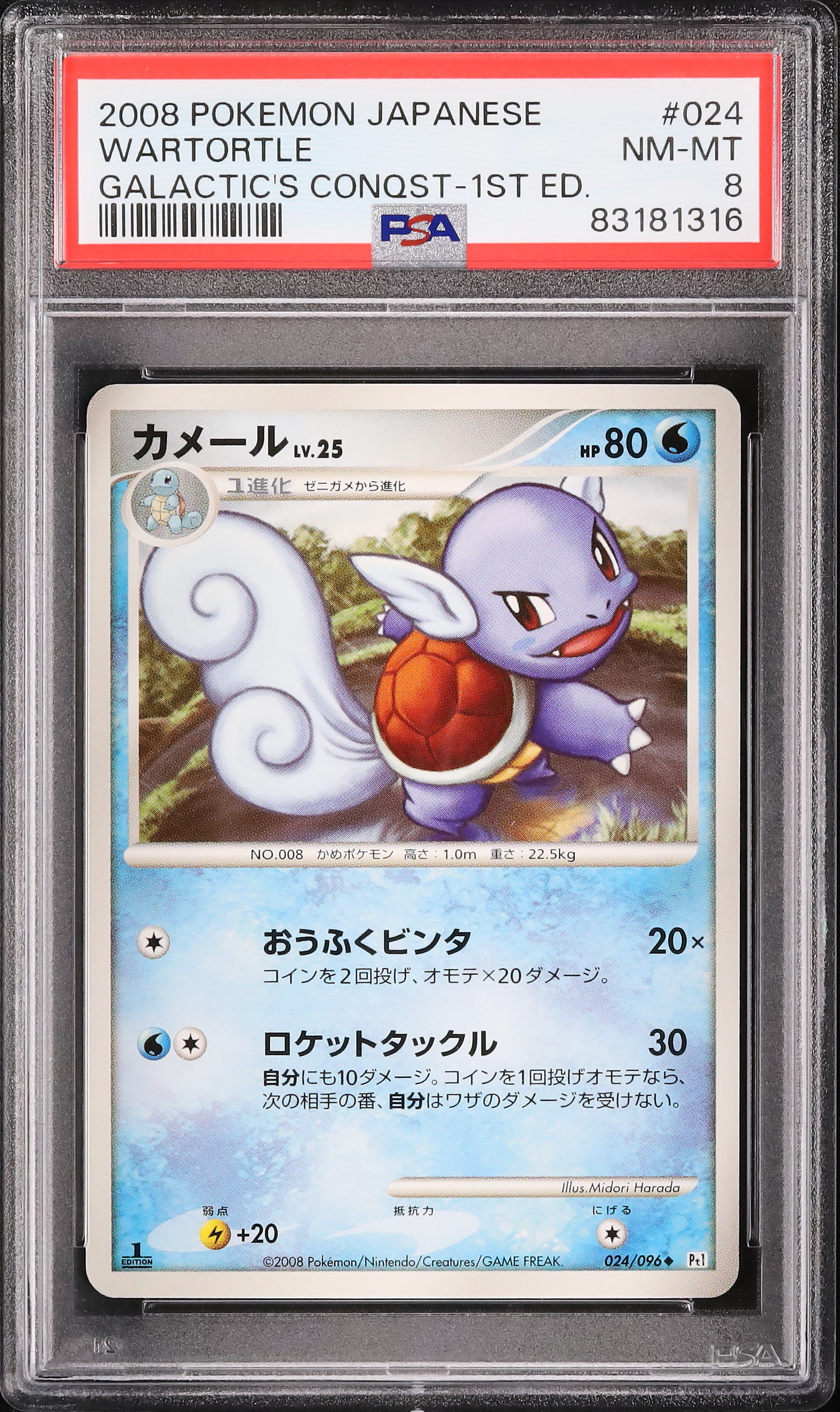 2008 Wartortle PSA 8 1st Edition - Cardova Japan