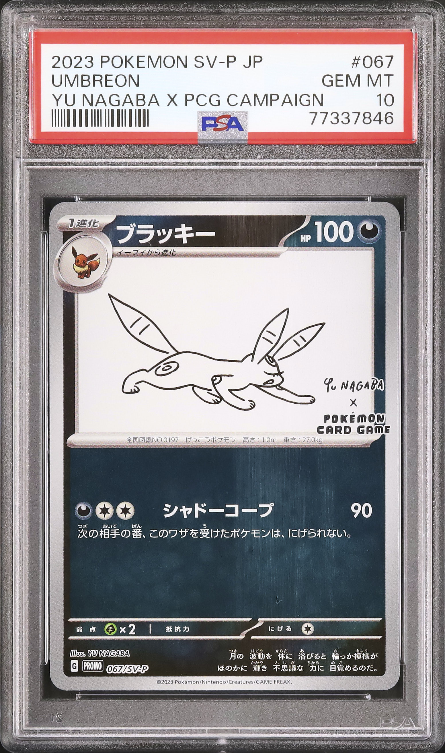 ブラッキーYUNAGABA × ポケモンカードゲームPROMOSV-PPSA10 2023 ブラッキー PSA 10 - カルドバ
