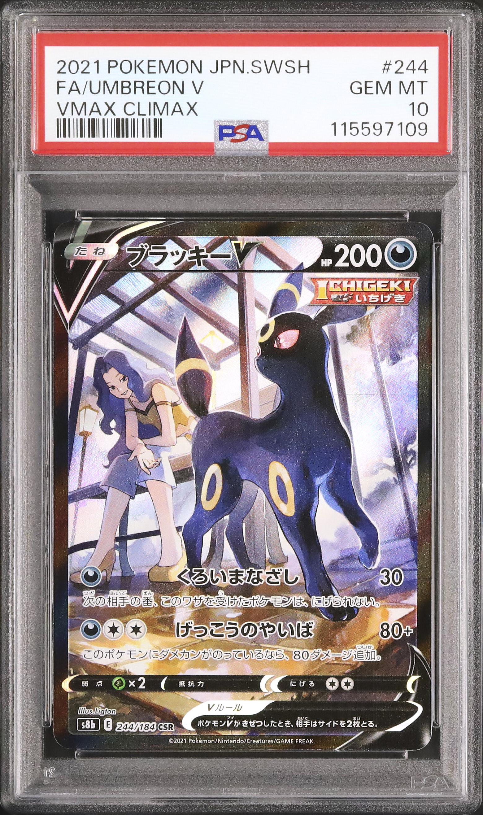 2021 ブラッキーV PSA 10 フルアート - カルドバ