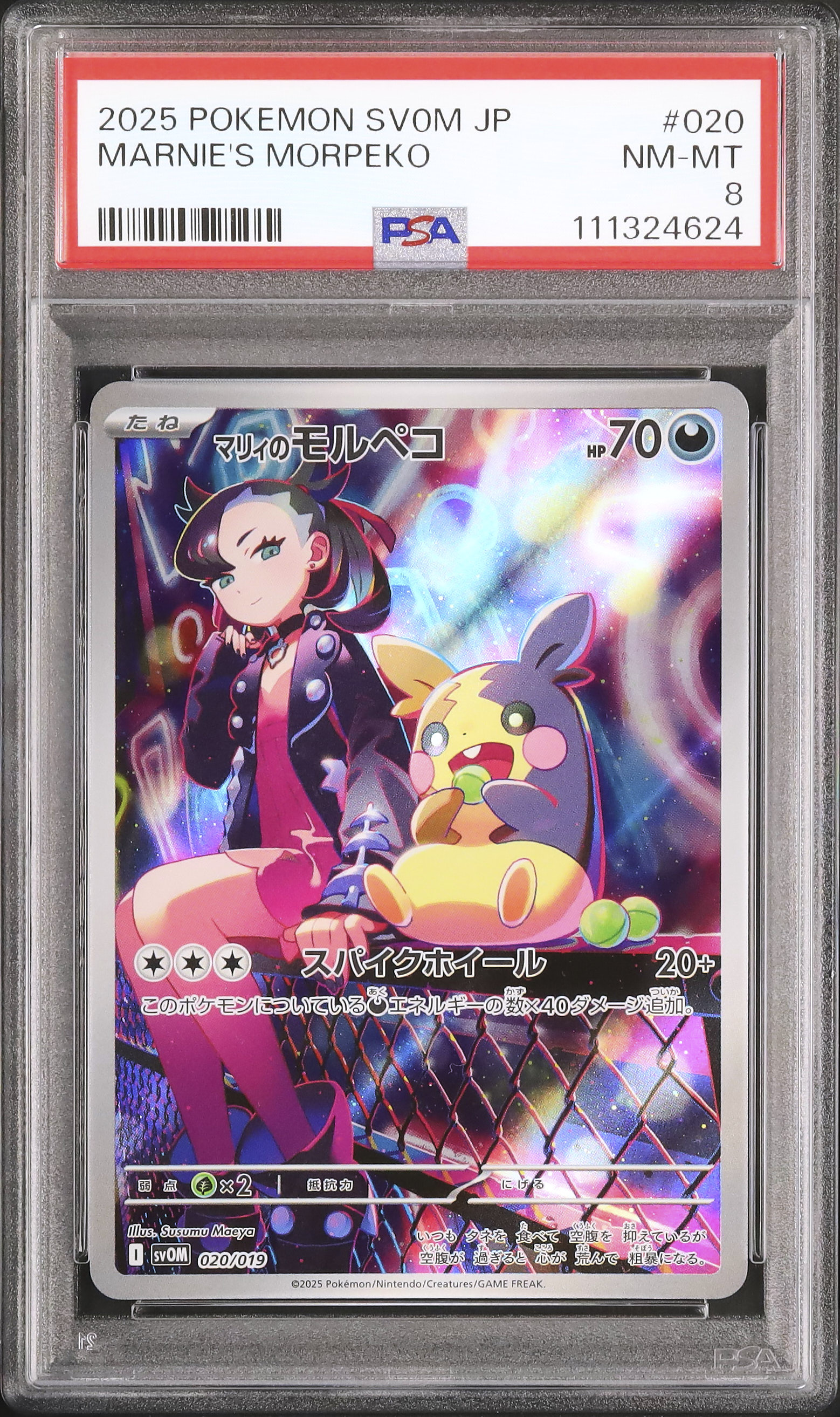 2025年PSA JAPAN 限定プロモカード ☆PSA10☆【ゼクロム/25周年/プロモ】ZEKROM 021/025 PSA 10 Zekrom