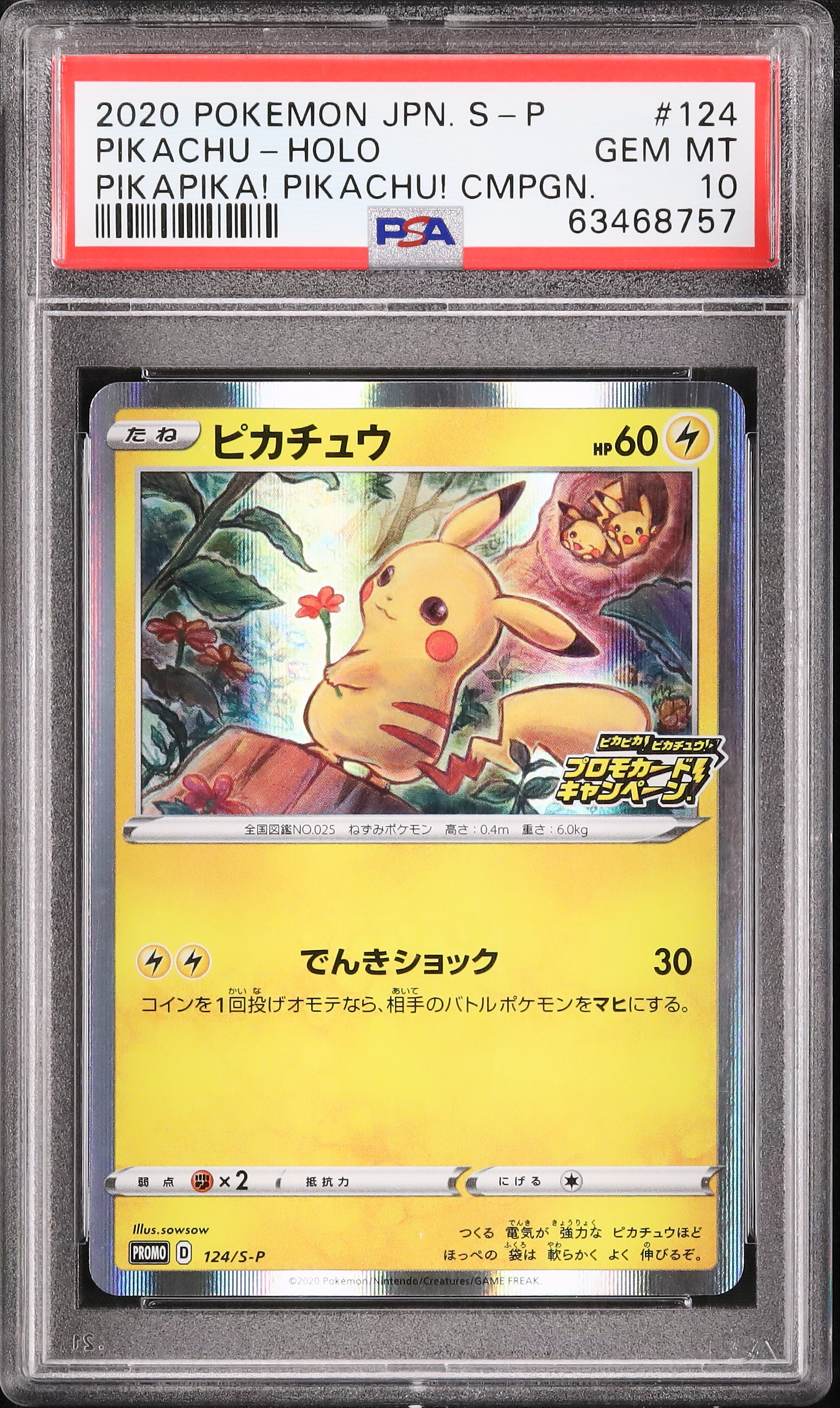 2020 ピカチュウ PSA 10 ホロ - カルドバ