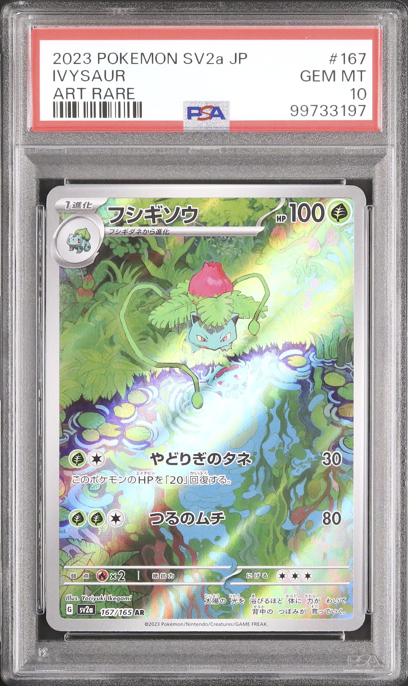 2023 ポケモンカード フシギソウ アートレア PSA 10 2023 フシギソウ PSA 10 - カルドバ