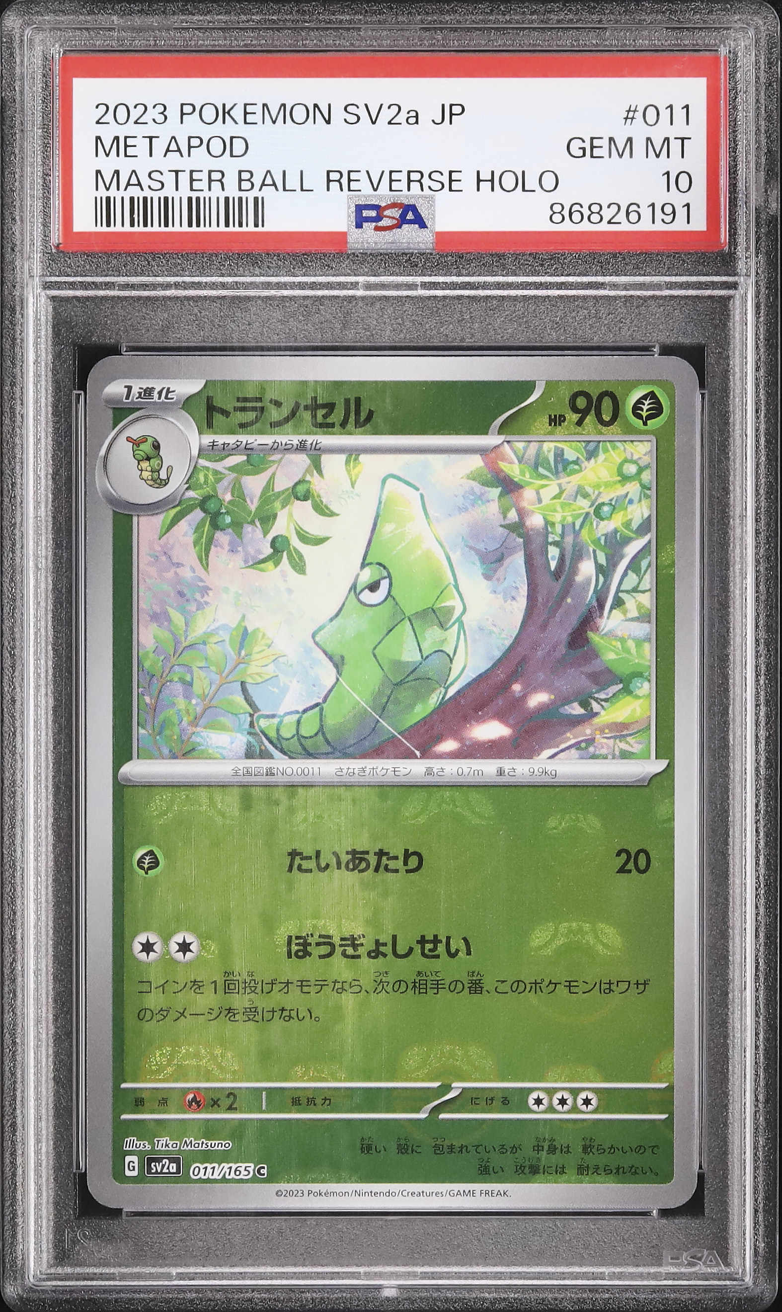 2023 トランセル PSA 10 マスターボールリバースホロ - カルドバ