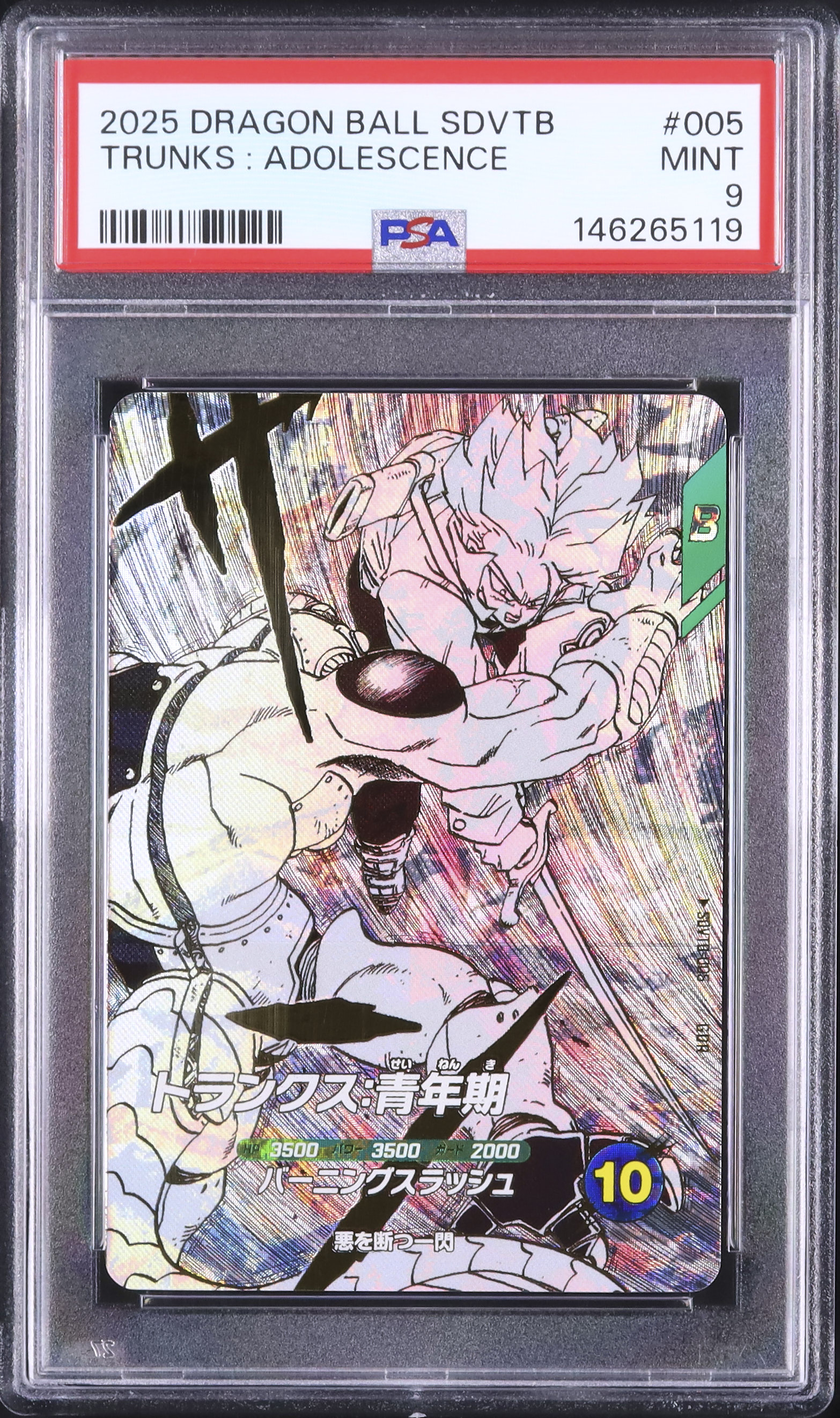 Live Auctions - Cardova Japan