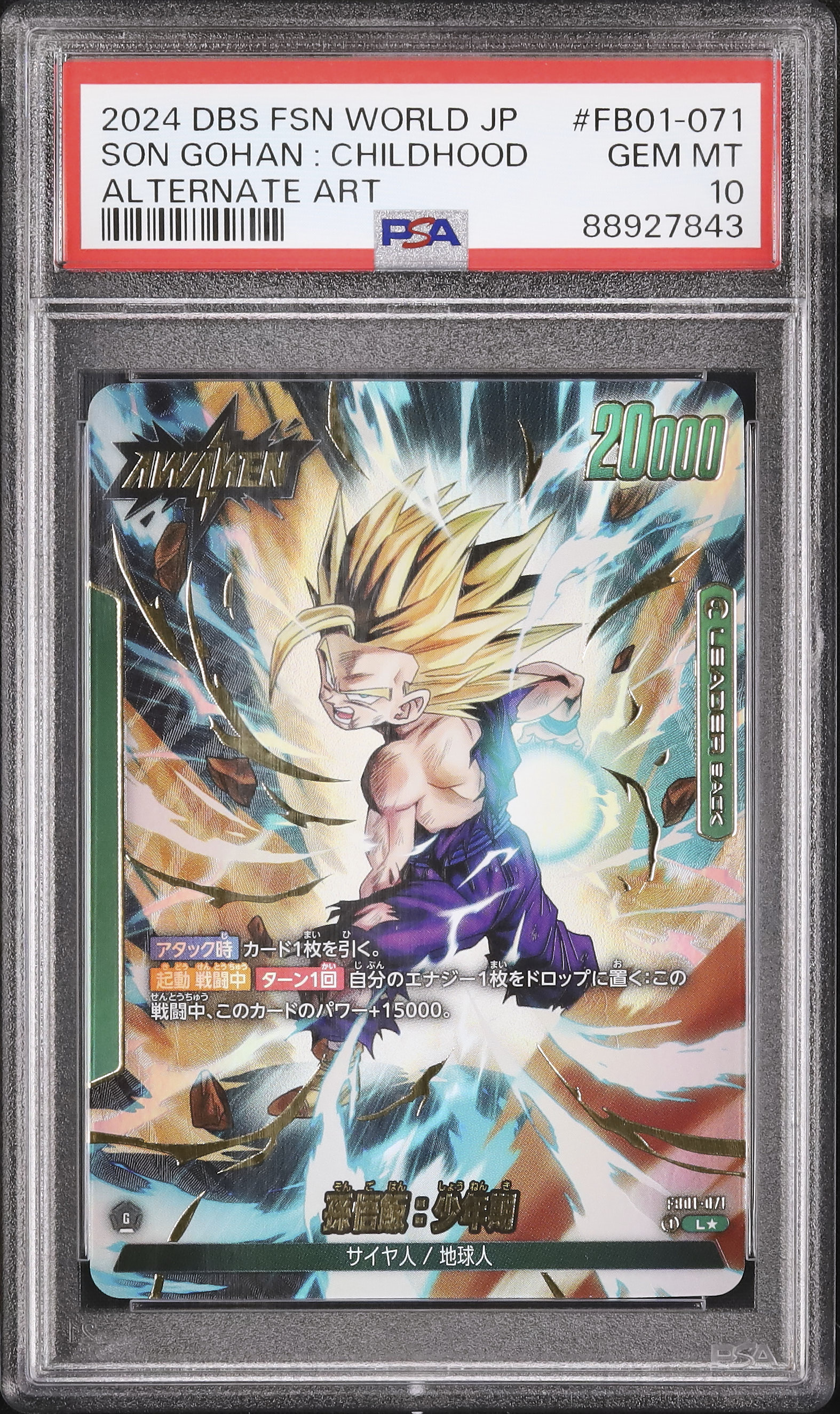 2024 孫悟飯: 少年期 PSA 10 絵違い - カルドバ